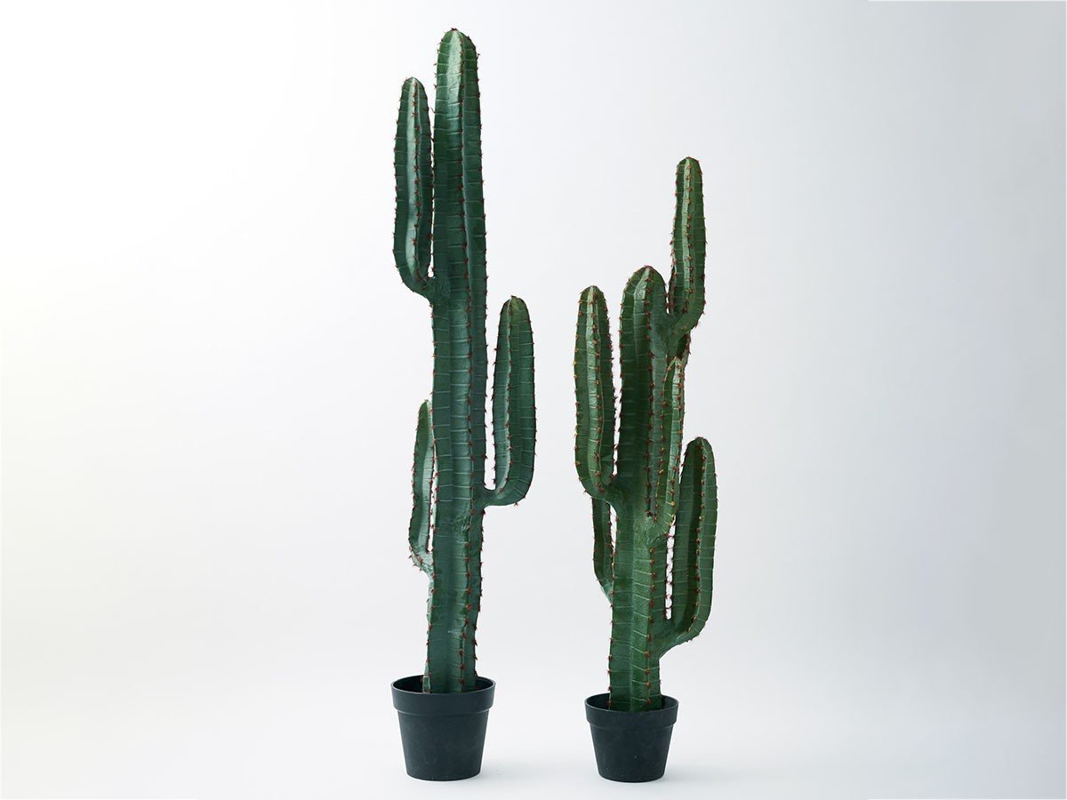 【ブラウン/BROWN / GOODS】のColumn Cactus Pot / 柱サボテン ポット 147 インテリア・キッズ・メンズ・レディースファッション・服の通販 founy(ファニー) 　送料無料　Free Shipping　おすすめ　Recommended / Our Picks　ホーム・キャンプ・アウトドア・お取り寄せ　Home Living / Home & Lifestyle / Camping Gear / Outdoor Camping　家具・インテリア　Home Furniture & Interior. Stylish & Functional Living Spaces　その他 インテリア雑貨、家具　Home Decor & Furniture Extras　サイズ展開がありますので、鉢や設置場所、空間に合わせてお選びいただけます。左:本商品|ID: prp329100004641811 ipo3291000000033476000