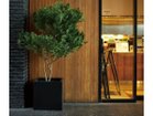【コントン/KONTON / GOODS】のMAGNUS / マグナス キュビ S 人気、トレンドファッション・服の通販 founy(ファニー) 送料無料 Free Shipping ガラス Glass, Glassware ストーン Stone, Gem-Like パウダー Powder, Soft Tone 軽量 Lightweight, Ultra Light ホーム・キャンプ・アウトドア・お取り寄せ Home Living / Home & Lifestyle / Camping Gear / Outdoor Camping 家具・インテリア Home Furniture & Interior. Stylish & Functional Living Spaces その他 インテリア雑貨、家具 Home Decor & Furniture Extras thumbnail 参考イメージ|ID: prp329100004655314 ipo3291000000033668854