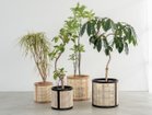 【ノーウェアライクホーム/NOWHERE LIKE HOME / GOODS】のMANAU Basket / マナウ バスケット M 人気、トレンドファッション・服の通販 founy(ファニー) 送料無料 Free Shipping バスケット Basket, Basket Bag フレーム Frame, Outline ラタン Rattan, Woven Rattan ホーム・キャンプ・アウトドア・お取り寄せ Home Living / Home & Lifestyle / Camping Gear / Outdoor Camping 家具・インテリア Home Furniture & Interior. Stylish & Functional Living Spaces その他 インテリア雑貨、家具 Home Decor & Furniture Extras thumbnail 2サイズ展開。|ID: prp329100004655320 ipo3291000000033668897