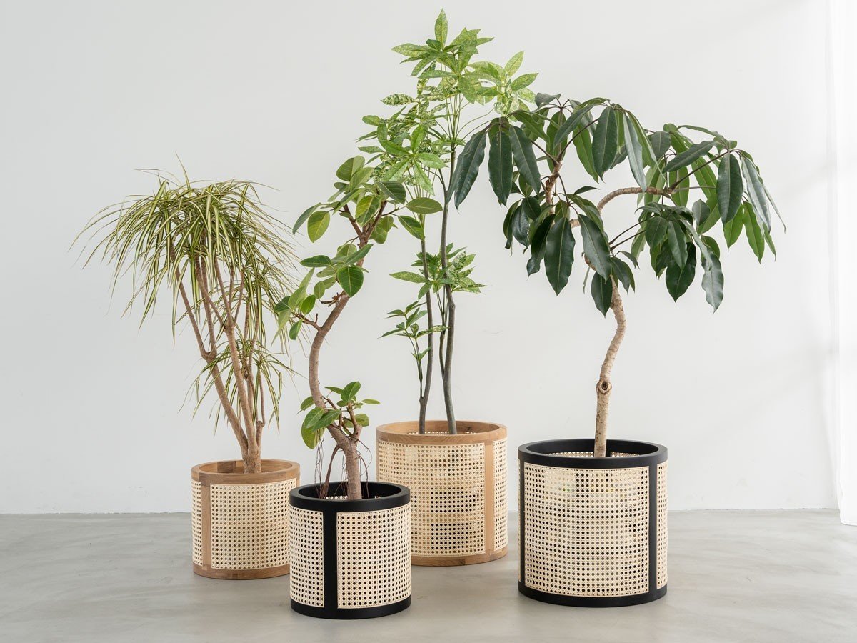 【ノーウェアライクホーム/NOWHERE LIKE HOME / GOODS】のMANAU Basket / マナウ バスケット M インテリア・キッズ・メンズ・レディースファッション・服の通販 founy(ファニー) 　送料無料　Free Shipping　バスケット　Basket, Basket Bag　フレーム　Frame, Outline　ラタン　Rattan, Woven Rattan　ホーム・キャンプ・アウトドア・お取り寄せ　Home Living / Home & Lifestyle / Camping Gear / Outdoor Camping　家具・インテリア　Home Furniture & Interior. Stylish & Functional Living Spaces　その他 インテリア雑貨、家具　Home Decor & Furniture Extras　2サイズ展開。|ID: prp329100004655320 ipo3291000000033668897