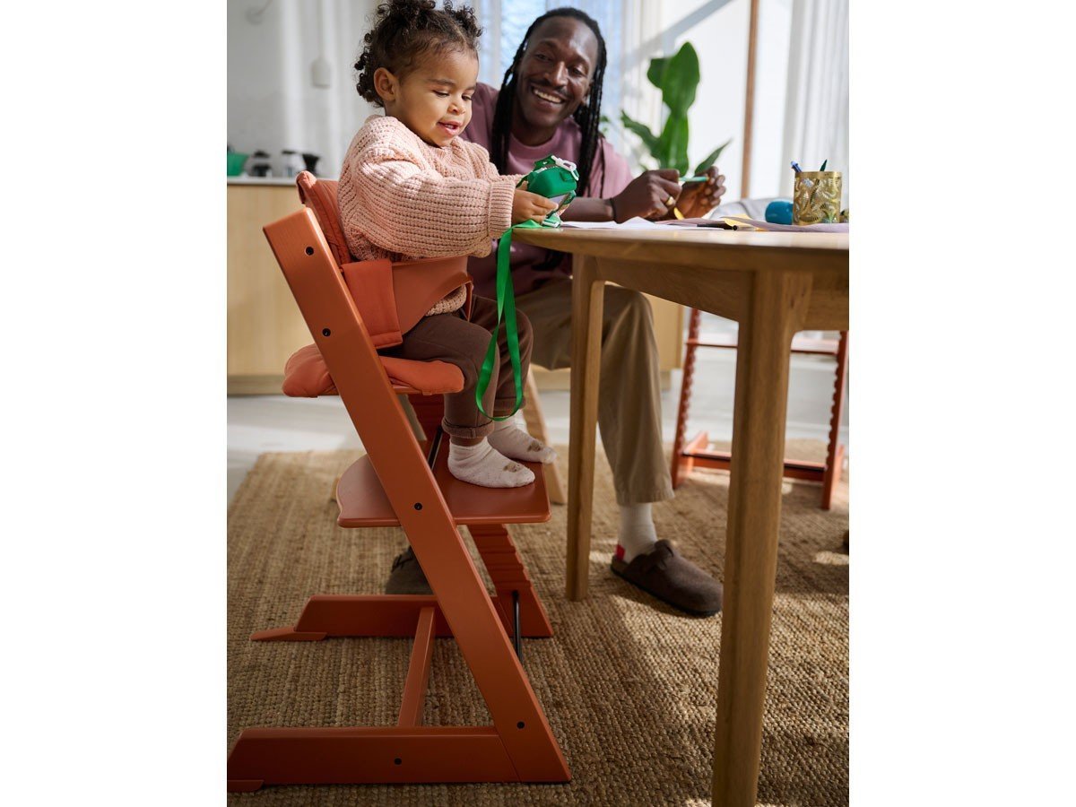 【ストッケ/STOKKE / GOODS】のTRIPP TRAPP / トリップ トラップ 4in1-離乳食セット インテリア・キッズ・メンズ・レディースファッション・服の通販 founy(ファニー) 　テーブル　Table, Dining Table　ベビー　Baby, Babywear　送料無料　Free Shipping　ホーム・キャンプ・アウトドア・お取り寄せ　Home Living / Home & Lifestyle / Camping Gear / Outdoor Camping　家具・インテリア　Home Furniture & Interior. Stylish & Functional Living Spaces　キッズ家具　Children's Furniture & Storage　キッズチェア・ベビーチェア・子供椅子　Kids Chair / Baby High Chair / Toddler Seat　チェア / ベビーセット:テラコッタ|ID: prp329100004756870 ipo3291000000034410664