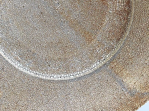 【ミシンポタリークリエーション/MISHIM POTTERY CREATION / GOODS】のfractal cake plate + stand / フラクタル ケーキプレート + スタンド(サビ) インテリア・キッズ・メンズ・レディースファッション・服の通販 founy(ファニー) クラシカル Classical, Vintage-Inspired コレクション Collection, Seasonal Line シェイプ Shape, Slim Fit シンプル Simple, Minimal スタンド Stand Collar, Upright Stand センター Center, Center Line 皿 Plate, Dish テーブル Table, Dining Table プレート Plate, Dish 参考イメージ|ID: prp329100004764952 ipo3291000000034496660