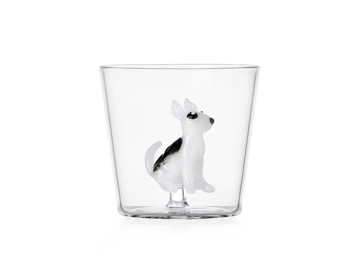 【イッケンドルフ ミラノ/ICHENDORF MILANO / GOODS】のDogs Tumbler Bull Terrier / ドッグス タンブラー ブルテリア 350ml 人気、トレンドファッション・服の通販 founy(ファニー) ガラス Glass, Glassware グラス Glass, Eyewear タンブラー Tumbler, Travel Mug テーブル Table, Dining Table 犬 Dog other-1|ID: prp329100004771510 ipo3291000000034567292