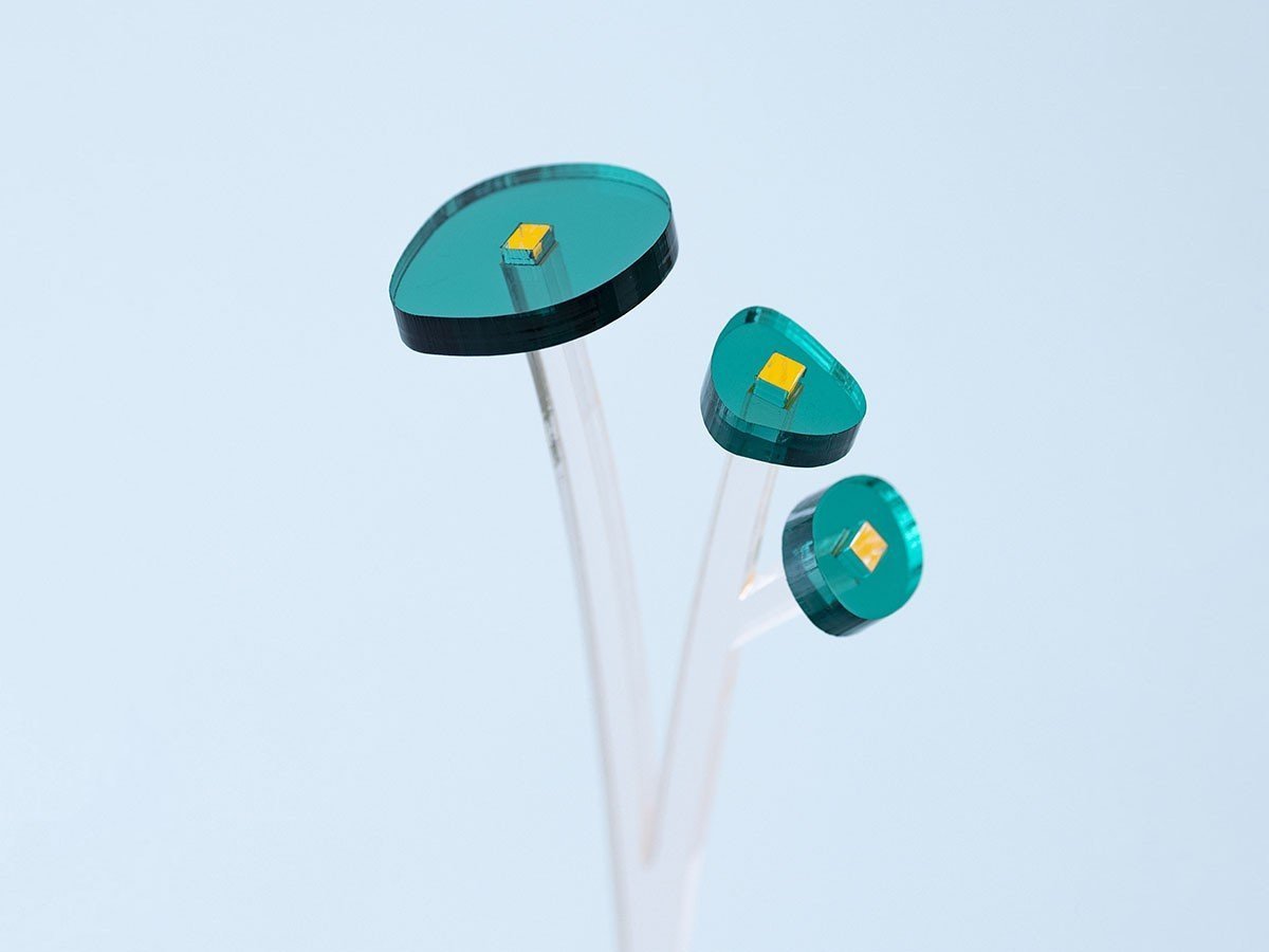 【フライミーアクセソワ/FLYMEe accessoire / GOODS】のplying ZOKA / プライング ゾーカ インテリア・キッズ・メンズ・レディースファッション・服の通販 founy(ファニー) 　アクリル　Acrylic Material　パターン　Pattern, Design Print　ホーム・キャンプ・アウトドア・お取り寄せ　Home Living / Home & Lifestyle / Camping Gear / Outdoor Camping　家具・インテリア　Home Furniture & Interior. Stylish & Functional Living Spaces　その他 インテリア雑貨、家具　Home Decor & Furniture Extras　グリーン|ID: prp329100004773683 ipo3291000000034595481