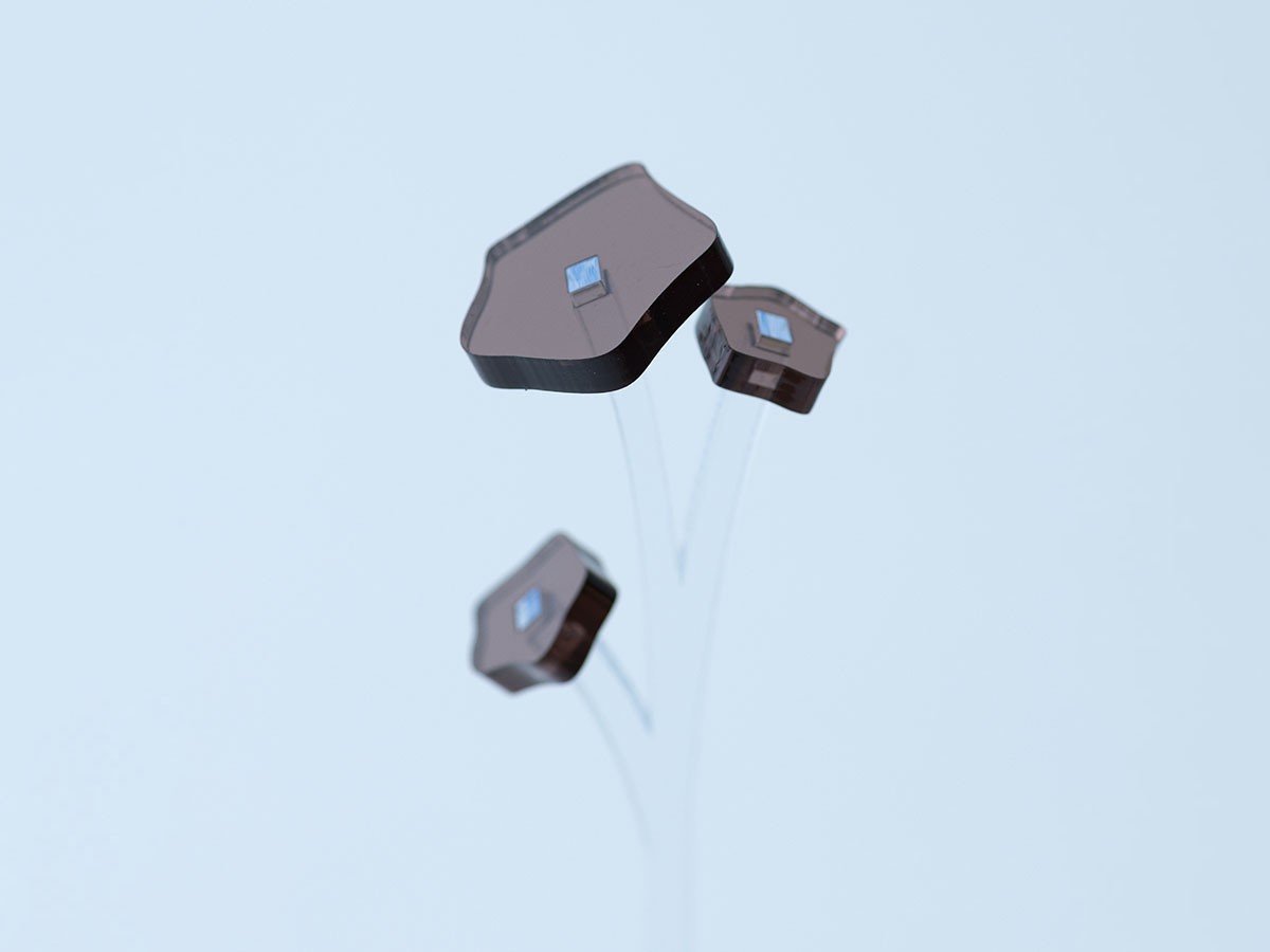 【フライミーアクセソワ/FLYMEe accessoire / GOODS】のplying ZOKA / プライング ゾーカ インテリア・キッズ・メンズ・レディースファッション・服の通販 founy(ファニー) 　アクリル　Acrylic Material　パターン　Pattern, Design Print　ホーム・キャンプ・アウトドア・お取り寄せ　Home Living / Home & Lifestyle / Camping Gear / Outdoor Camping　家具・インテリア　Home Furniture & Interior. Stylish & Functional Living Spaces　その他 インテリア雑貨、家具　Home Decor & Furniture Extras　ブラウン|ID: prp329100004773683 ipo3291000000034595488