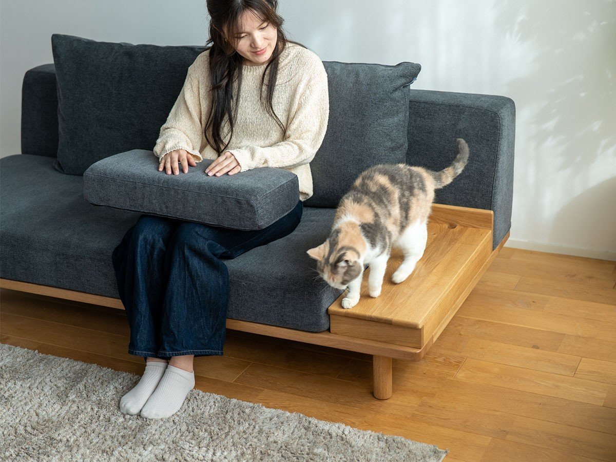 【フミ/Fumi / GOODS】のながら時間を楽しむソファ +pet / ながら時間を楽しむソファ(ペット対応生地) インテリア・キッズ・メンズ・レディースファッション・服の通販 founy(ファニー) 　クッション　Cushion, Throw Pillow　シンプル　Simple, Minimal　スマート　Smart, Elegant　テーブル　Table, Dining Table　バランス　Balance, Style Balance　フェザー　Feather, Feather Detail　犬　Dog　ホーム・キャンプ・アウトドア・お取り寄せ　Home Living / Home & Lifestyle / Camping Gear / Outdoor Camping　家具・インテリア　Home Furniture & Interior. Stylish & Functional Living Spaces　その他 インテリア雑貨、家具　Home Decor & Furniture Extras　参考イメージ|ID: prp329100004817270 ipo3291000000034992926