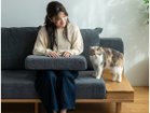 【フミ/Fumi / GOODS】のながら時間を楽しむソファ +pet / ながら時間を楽しむソファ(ペット対応生地) 人気、トレンドファッション・服の通販 founy(ファニー) クッション Cushion, Throw Pillow シンプル Simple, Minimal スマート Smart, Elegant テーブル Table, Dining Table バランス Balance, Style Balance フェザー Feather, Feather Detail 犬 Dog ホーム・キャンプ・アウトドア・お取り寄せ Home Living / Home & Lifestyle / Camping Gear / Outdoor Camping 家具・インテリア Home Furniture & Interior. Stylish & Functional Living Spaces その他 インテリア雑貨、家具 Home Decor & Furniture Extras thumbnail 参考イメージ|ID: prp329100004817270 ipo3291000000034992927