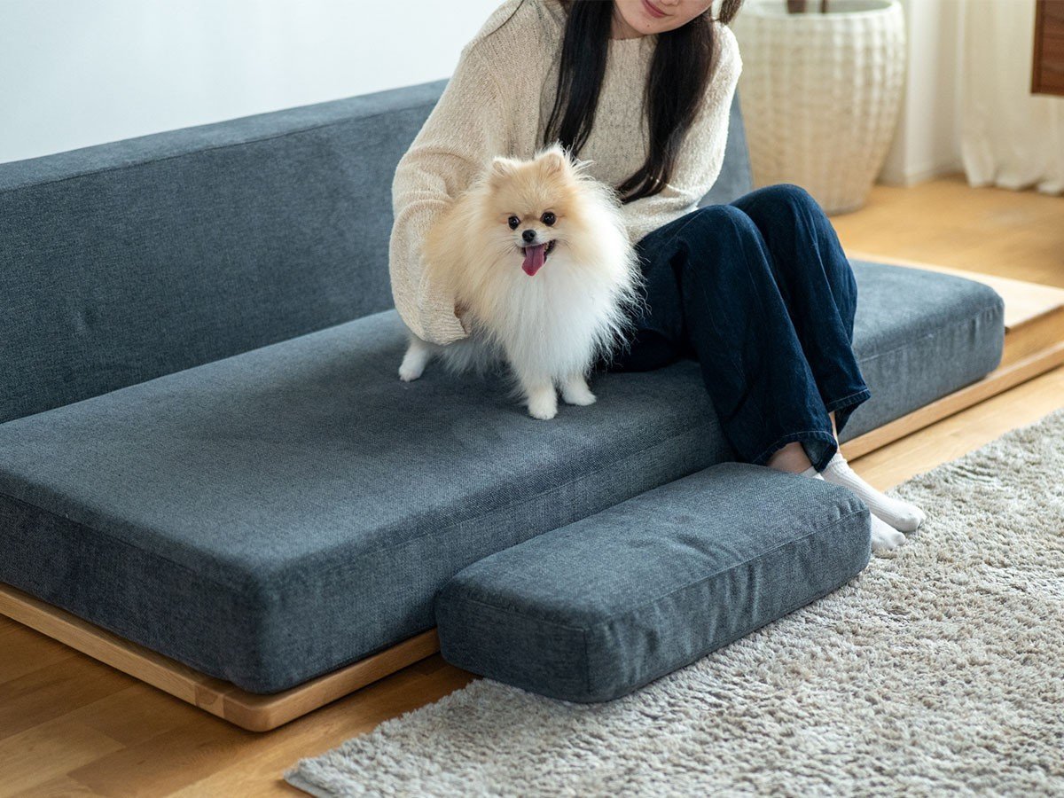 【フミ/Fumi / GOODS】のながら時間を楽しむソファ +pet / ながら時間を楽しむソファ(ペット対応生地) インテリア・キッズ・メンズ・レディースファッション・服の通販 founy(ファニー) 　クッション　Cushion, Throw Pillow　シンプル　Simple, Minimal　スマート　Smart, Elegant　テーブル　Table, Dining Table　バランス　Balance, Style Balance　フェザー　Feather, Feather Detail　犬　Dog　ホーム・キャンプ・アウトドア・お取り寄せ　Home Living / Home & Lifestyle / Camping Gear / Outdoor Camping　家具・インテリア　Home Furniture & Interior. Stylish & Functional Living Spaces　その他 インテリア雑貨、家具　Home Decor & Furniture Extras　肘クッションは、小型犬の脚への負担を軽減するペットステップとすることもできます。|ID: prp329100004817270 ipo3291000000034992944