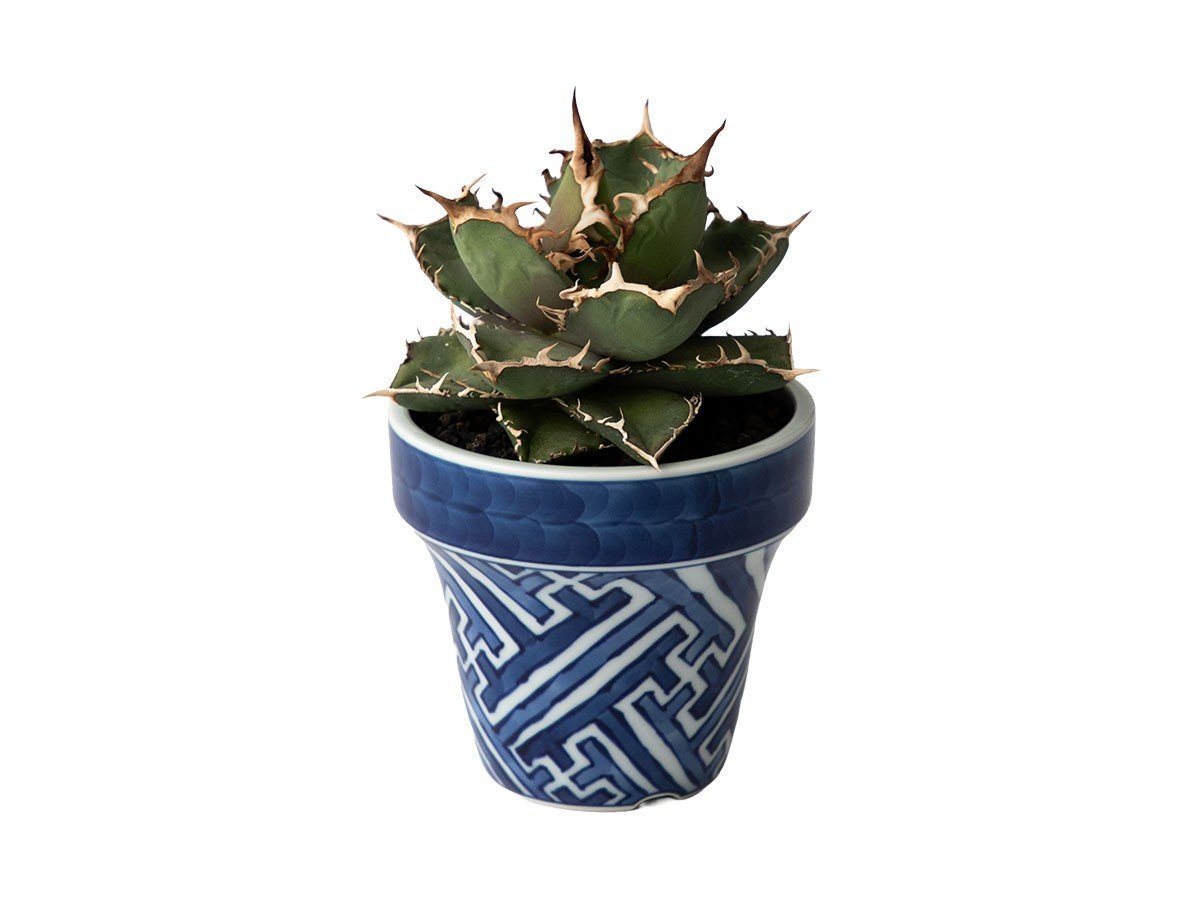 【源右衛門窯/Gen Emon Kiln / GOODS】の染付雷紋 植木鉢 / 染付雷紋 植木鉢 インテリア・キッズ・メンズ・レディースファッション・服の通販 founy(ファニー) 　送料無料　Free Shipping　フォルム　Silhouette, Form　ホーム・キャンプ・アウトドア・お取り寄せ　Home Living / Home & Lifestyle / Camping Gear / Outdoor Camping　家具・インテリア　Home Furniture & Interior. Stylish & Functional Living Spaces　その他 インテリア雑貨、家具　Home Decor & Furniture Extras　-|ID: prp329100004837048 ipo3291000000035239498