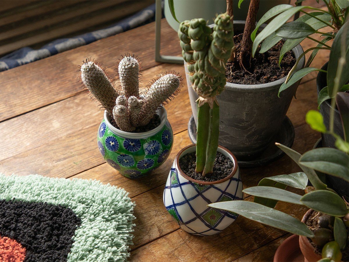 【源右衛門窯/Gen Emon Kiln / GOODS】の染付梅地紋 植木鉢 / 染付梅地紋 植木鉢 インテリア・キッズ・メンズ・レディースファッション・服の通販 founy(ファニー) 　送料無料　Free Shipping　フォルム　Silhouette, Form　ホーム・キャンプ・アウトドア・お取り寄せ　Home Living / Home & Lifestyle / Camping Gear / Outdoor Camping　家具・インテリア　Home Furniture & Interior. Stylish & Functional Living Spaces　その他 インテリア雑貨、家具　Home Decor & Furniture Extras　参考イメージ|ID: prp329100004837049 ipo3291000000035239503