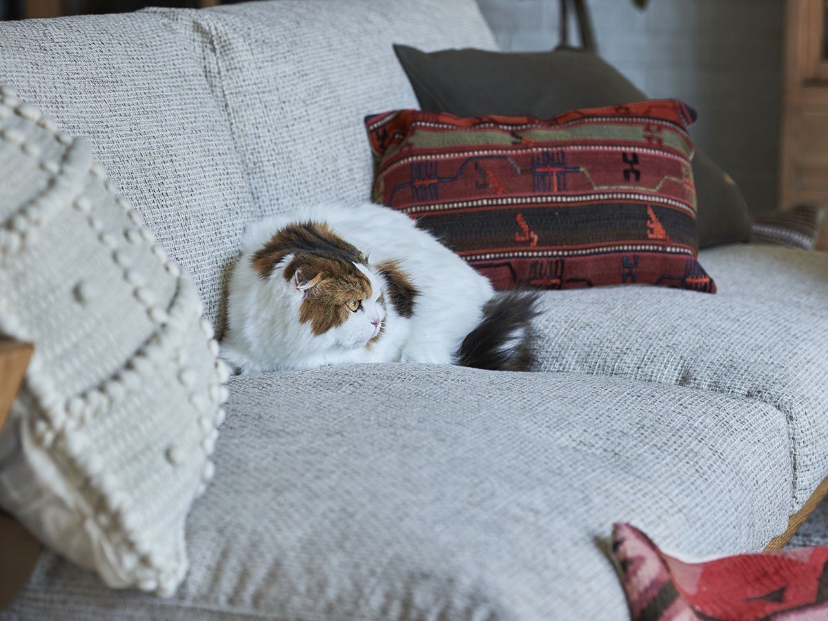 【クラッシュゲート/CRASH GATE / GOODS】のDELKA SOFA 1.5P / デルカ ソファ 1.5人掛け インテリア・キッズ・メンズ・レディースファッション・服の通販 founy(ファニー) 　クッション　Cushion, Throw Pillow　フェザー　Feather, Feather Detail　ホーム・キャンプ・アウトドア・お取り寄せ　Home Living / Home & Lifestyle / Camping Gear / Outdoor Camping　家具・インテリア　Home Furniture & Interior. Stylish & Functional Living Spaces　ソファー　Couches & Sofas　参考イメージ|ID: prp329100004863740 ipo3291000000036179895