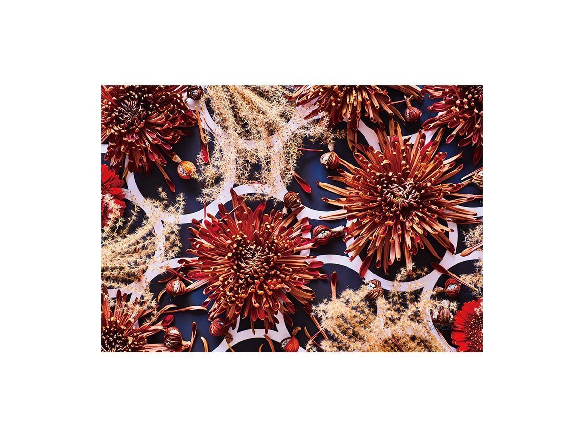 【その他のブランド/Other】のGeometric Passion / ジオメトリック パッション レクタングルXL インテリア・キッズ・メンズ・レディースファッション・服の通販 founy(ファニー) 送料無料 Free Shipping 軽量 Lightweight, Ultra Light -|ID: prp329100004870780 ipo3291000000036305755