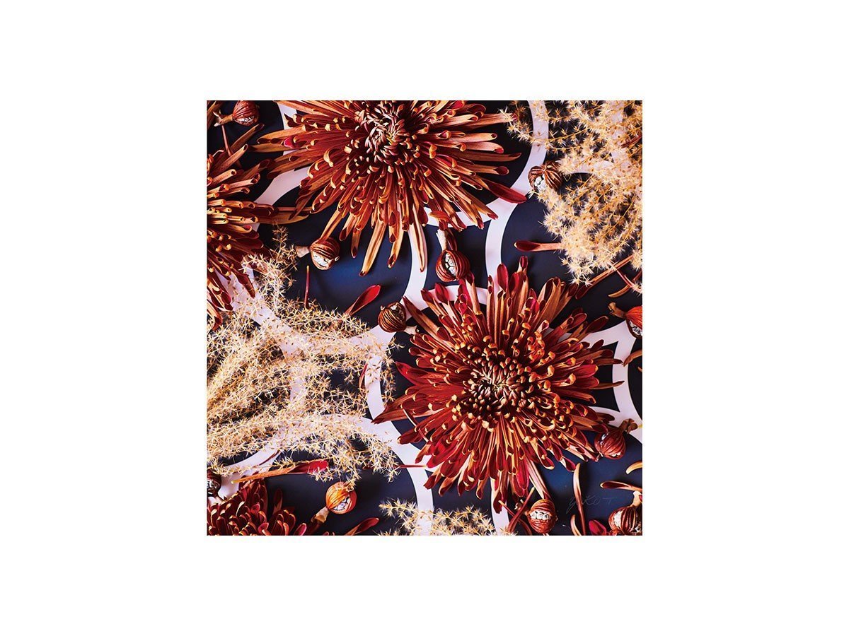 【その他のブランド/Other】のGeometric Passion / ジオメトリック パッション スクエア インテリア・キッズ・メンズ・レディースファッション・服の通販 founy(ファニー) 　送料無料　Free Shipping　スクエア　Square, Square Shape　軽量　Lightweight, Ultra Light　-|ID: prp329100004870784 ipo3291000000036305782