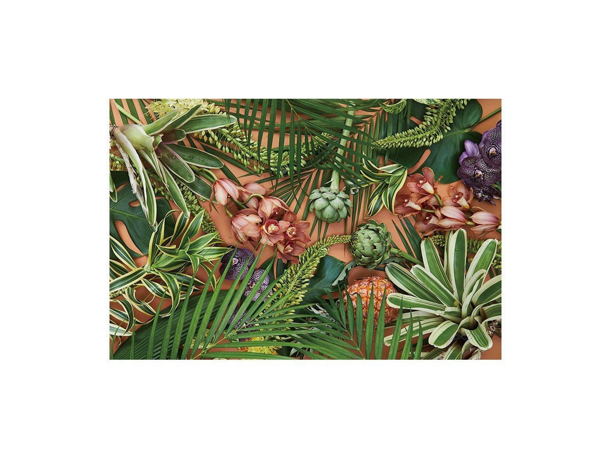 【その他のブランド/Other】のBotanic Orchid Grove / ボタニック オーキッドグローブ レクタングルLL インテリア・キッズ・メンズ・レディースファッション・服の通販 founy(ファニー) 　送料無料　Free Shipping　エレガント 上品　Elegant　軽量　Lightweight, Ultra Light　-|ID: prp329100004870797 ipo3291000000036305876