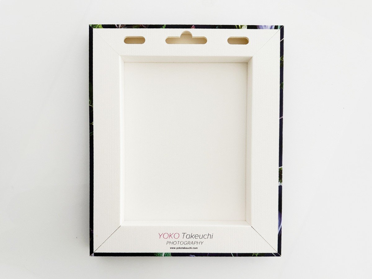 【その他のブランド/Other】のBotanic Succulents / ボタニック サキュレント レクタングルM インテリア・キッズ・メンズ・レディースファッション・服の通販 founy(ファニー) 送料無料 Free Shipping リーフ Leaf, Botanical Leaf 軽量 Lightweight, Ultra Light 裏面参考イメージ|ID: prp329100004870804 ipo3291000000036305933