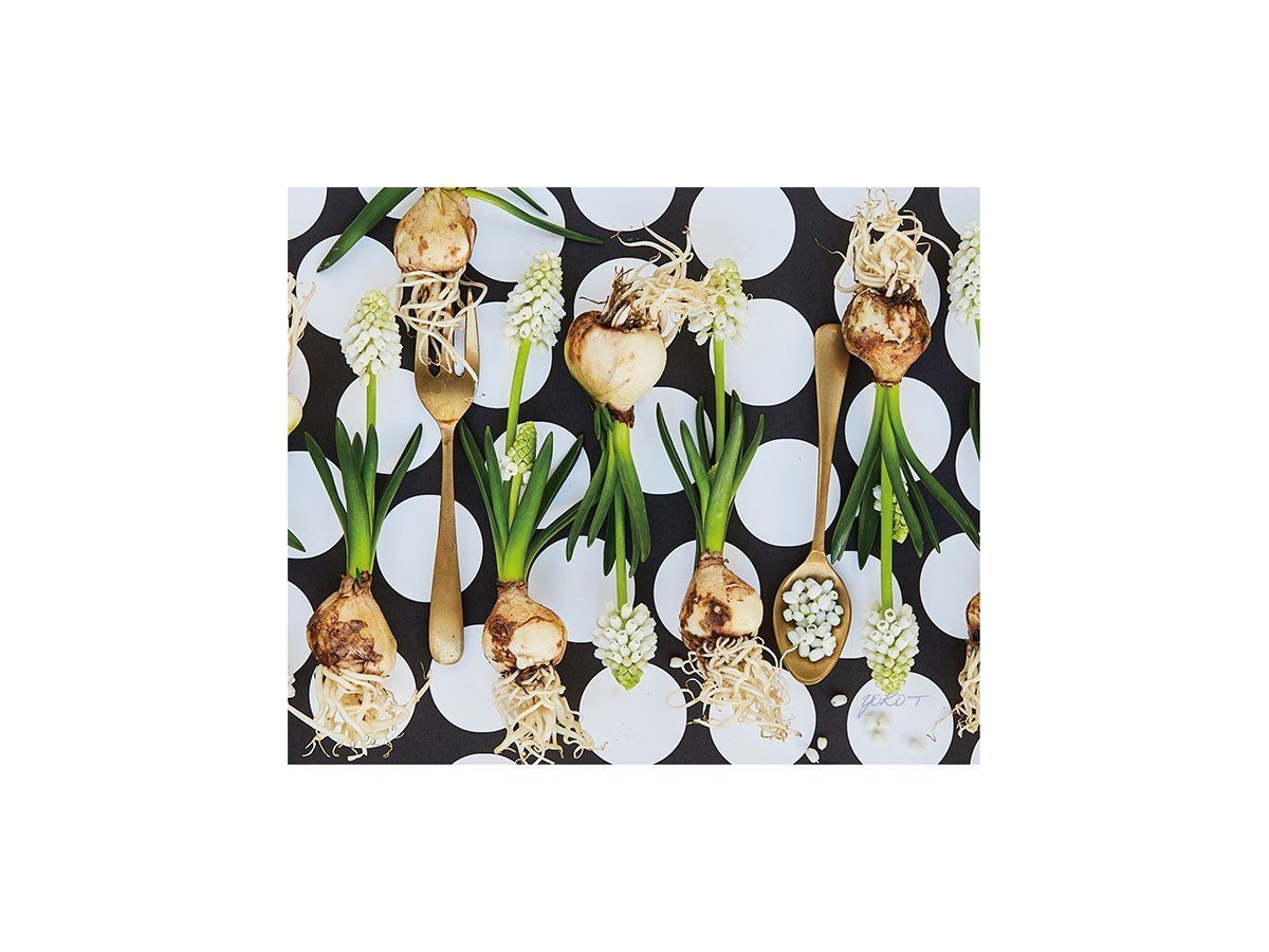 【その他のブランド/Other】のFood inspiered Silver Muscari / フードインスパイアード シルバームスカリ レクタングルM インテリア・キッズ・メンズ・レディースファッション・服の通販 founy(ファニー) 送料無料 Free Shipping テーブル Table, Dining Table 軽量 Lightweight, Ultra Light -|ID: prp329100004870830 ipo3291000000036306112