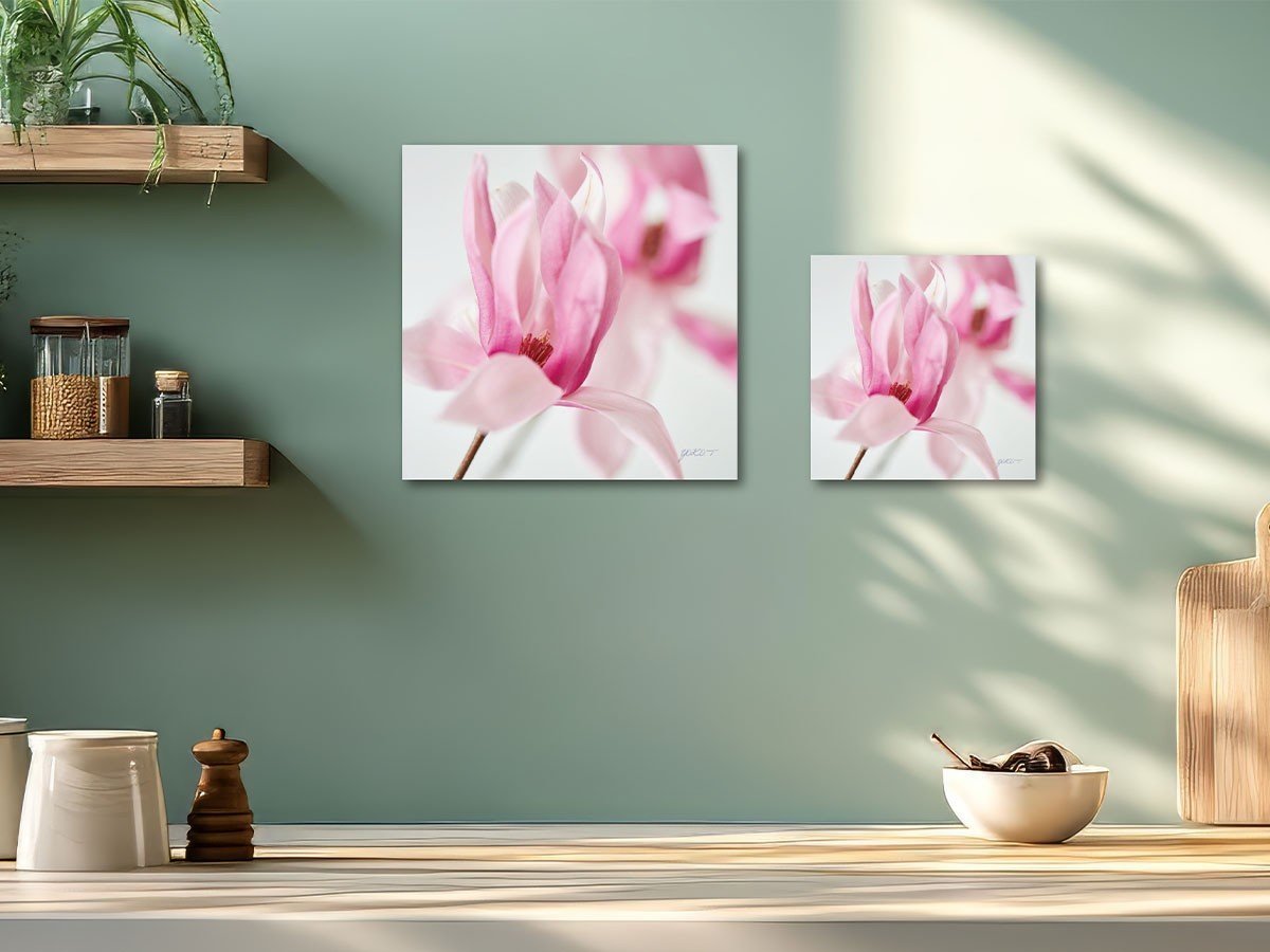 【その他のブランド/Other】のPastel Bloom Magnolia / パステルブルーム マグノリア インテリア・キッズ・メンズ・レディースファッション・服の通販 founy(ファニー) 送料無料 Free Shipping 軽量 Lightweight, Ultra Light 左:サイズ L、右:サイズ S|ID: prp329100004870846 ipo3291000000036306240