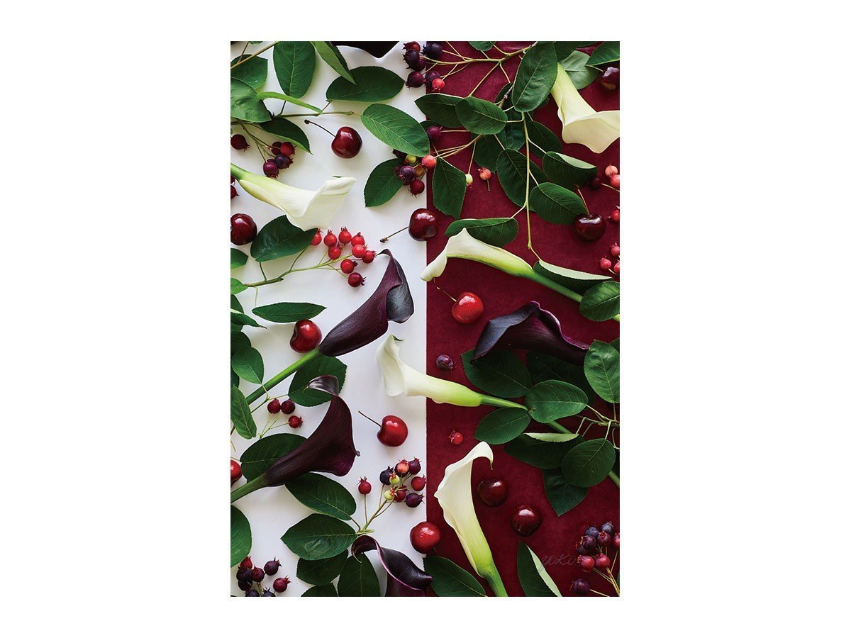 【その他のブランド/Other】のGeometric Bicolor Cherry / ジオメトリック チェリー レクタングルXL 人気、トレンドファッション・服の通販 founy(ファニー) 送料無料 Free Shipping チェリー Cherry, Cherry Pattern 軽量 Lightweight, Ultra Light other-1|ID: prp329100004870852 ipo3291000000036306286