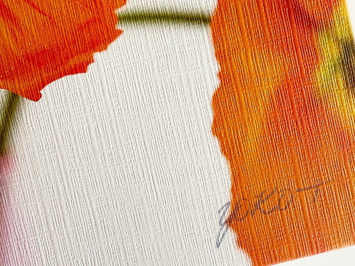 【その他のブランド/Other】のGeometric Bicolor Cherry / ジオメトリック チェリー レクタングルXL インテリア・キッズ・メンズ・レディースファッション・服の通販 founy(ファニー) 送料無料 Free Shipping チェリー Cherry, Cherry Pattern 軽量 Lightweight, Ultra Light 参考イメージ|ID: prp329100004870852 ipo3291000000036306290