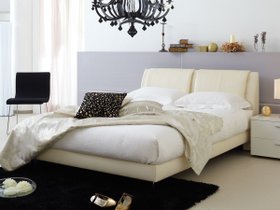 【ルフ/RUF BETTEN / GOODS】のMULTI COMFORT SYSTEM 203 / マルチコンフォートシステム 203 ステーションタイプ 人気、トレンドファッション・服の通販 founy(ファニー) クッション Cushion, Throw Pillow ダブル Double, Double-Breasted フレーム Frame, Outline ホーム・キャンプ・アウトドア・お取り寄せ Home Living / Home & Lifestyle / Camping Gear / Outdoor Camping 家具・インテリア Home Furniture & Interior. Stylish & Functional Living Spaces ベッド Modern Beds for Every Room シングルベッド・1人用ベッド Single Bed ホーム・キャンプ・アウトドア・お取り寄せ Home Living / Home & Lifestyle / Camping Gear / Outdoor Camping 家具・インテリア Home Furniture & Interior. Stylish & Functional Living Spaces ベッド Modern Beds for Every Room セミダブルベッド Small Double Bed / Three-Quarter Bed ホーム・キャンプ・アウトドア・お取り寄せ Home Living / Home & Lifestyle / Camping Gear / Outdoor Camping 家具・インテリア Home Furniture & Interior. Stylish & Functional Living Spaces ベッド Modern Beds for Every Room ダブルベッド・2人用ベッド Double Bed / Full Size Bed ホーム・キャンプ・アウトドア・お取り寄せ Home Living / Home & Lifestyle / Camping Gear / Outdoor Camping 家具・インテリア Home Furniture & Interior. Stylish & Functional Living Spaces ベッド Modern Beds for Every Room |ID:prp329100004896106