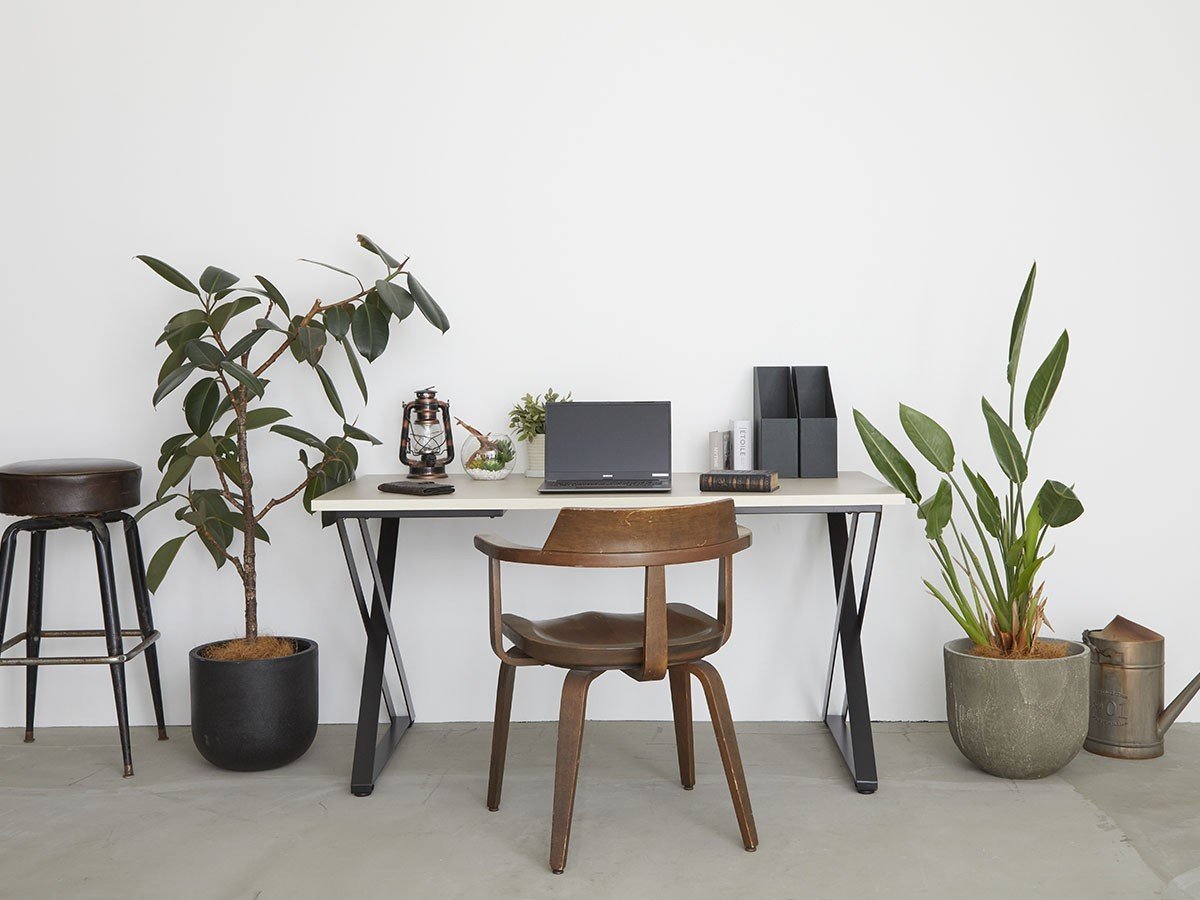 【プレゼンス ファニチャー ラボラトリー/Presence Furniture Laboratory / GOODS】のSECTANIA / セクターニャ デスク 幅120 × 奥行55cm インテリア・キッズ・メンズ・レディースファッション・服の通販 founy(ファニー) 　コンパクト　Compact, Small Size　スリム　Slim, Slim Fit　デスク　Desk, Work Desk　送料無料　Free Shipping　おすすめ　Recommended / Our Picks　ホーム・キャンプ・アウトドア・お取り寄せ　Home Living / Home & Lifestyle / Camping Gear / Outdoor Camping　家具・インテリア　Home Furniture & Interior. Stylish & Functional Living Spaces　その他 インテリア雑貨、家具　Home Decor & Furniture Extras　参考イメージ|ID: prp329100004896924 ipo3291000000036617113