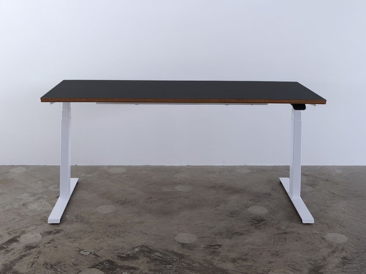 【ボーダレス/BORDERLESS / GOODS】のFeEL / フィール 電動昇降デスク(バッカー天板) インテリア・キッズ・メンズ・レディースファッション・服の通販 founy(ファニー) 　ウッド　Wooden Design　テーブル　Table, Dining Table　デスク　Desk, Work Desk　バランス　Balance, Style Balance　ローズ　Rose, Rose Motif　送料無料　Free Shipping　ビジネス 仕事 通勤　Business / Work / Commuting　ホーム・キャンプ・アウトドア・お取り寄せ　Home Living / Home & Lifestyle / Camping Gear / Outdoor Camping　家具・インテリア　Home Furniture & Interior. Stylish & Functional Living Spaces　その他 インテリア雑貨、家具　Home Decor & Furniture Extras　サイズ:幅160cm|ID: prp329100004897012 ipo3291000000036619563