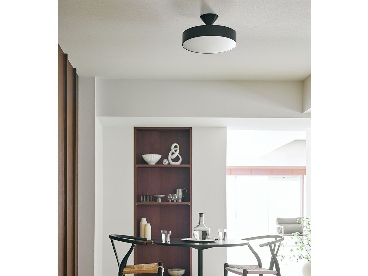 【アプロス/APROZ / GOODS】のREMY / レミー インテリア・キッズ・メンズ・レディースファッション・服の通販 founy(ファニー) 　送料無料　Free Shipping　シンプル　Simple, Minimal　フォルム　Silhouette, Form　ホーム・キャンプ・アウトドア・お取り寄せ　Home Living / Home & Lifestyle / Camping Gear / Outdoor Camping　家具・インテリア　Home Furniture & Interior. Stylish & Functional Living Spaces　ライト・照明　Lamps & Lighting Fixtures　シーリングライト・天井照明　Ceiling Light / Flush Mount Light　ブラック|ID: prp329100004897611 ipo3291000000036630440