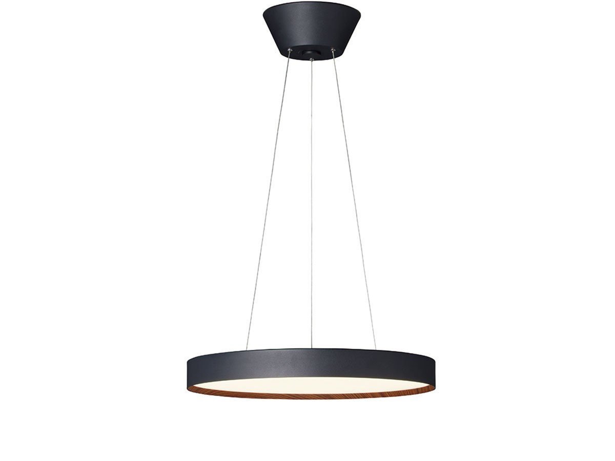 【フライミー ノワール/FLYMEe Noir / GOODS】のLED Pendant Lamp / LED ペンダントランプ #113764 インテリア・キッズ・メンズ・レディースファッション・服の通販 founy(ファニー) 　送料無料　Free Shipping　ウッド　Wooden Design　シンプル　Simple, Minimal　ワイヤー　Wire, Wired Bra　ホーム・キャンプ・アウトドア・お取り寄せ　Home Living / Home & Lifestyle / Camping Gear / Outdoor Camping　家具・インテリア　Home Furniture & Interior. Stylish & Functional Living Spaces　ライト・照明　Lamps & Lighting Fixtures　ペンダントライト・吊り下げ照明　Pendant Light / Hanging Light Fixture　ブラック + ライトウッド|ID: prp329100004897626 ipo3291000000036630602