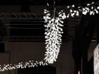 【モーイ/moooi / GOODS】のHeracleum III Endless / ヘラクレウム 3 エンドレス 人気、トレンドファッション・服の通販 founy(ファニー) 送料無料 Free Shipping ドレス Dress, One-Piece フレーム Frame, Outline モチーフ Motif, Design Theme ワイヤー Wire, Wired Bra ホーム・キャンプ・アウトドア・お取り寄せ Home Living / Home & Lifestyle / Camping Gear / Outdoor Camping 家具・インテリア Home Furniture & Interior. Stylish & Functional Living Spaces ライト・照明 Lamps & Lighting Fixtures ペンダントライト・吊り下げ照明 Pendant Light / Hanging Light Fixture thumbnail 参考イメージ|ID: prp329100004903706 ipo3291000000036703275