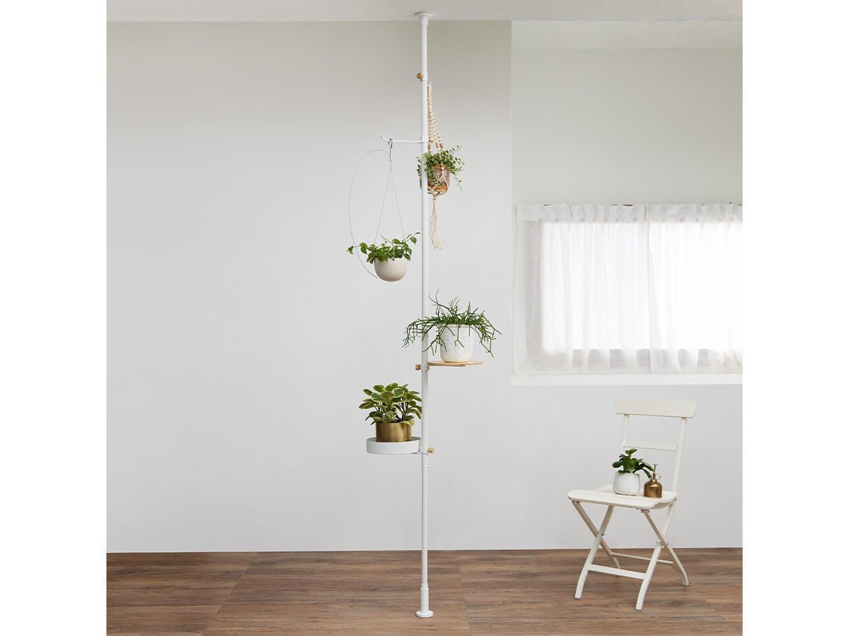 【ドロー ア ライン/DRAW A LINE / GOODS】のPlanter Rack Set / モリモリツリー セット インテリア・キッズ・メンズ・レディースファッション・服の通販 founy(ファニー) 　アクセサリー　Fashion Accessories　ショート　Short, Short Length　テーブル　Table, Dining Table　フラワー　Flower, Floral　マグネット　Magnet, Magnetic Closure　ロング　Long, Long-Length　送料無料　Free Shipping　ホーム・キャンプ・アウトドア・お取り寄せ　Home Living / Home & Lifestyle / Camping Gear / Outdoor Camping　家具・インテリア　Home Furniture & Interior. Stylish & Functional Living Spaces　テーブル　Dining, Coffee & Side Tables　サイドテーブル・ナイトテーブル　Side & End Tables　ホワイト|ID: prp329100004904270 ipo3291000000036710174