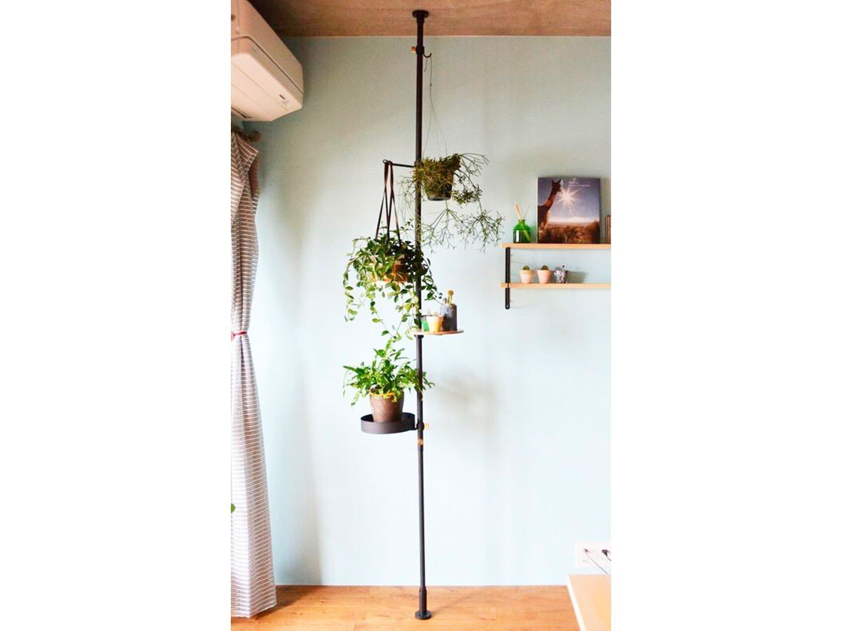 【ドロー ア ライン/DRAW A LINE / GOODS】のPlanter Rack Set / モリモリツリー セット インテリア・キッズ・メンズ・レディースファッション・服の通販 founy(ファニー) 　アクセサリー　Fashion Accessories　ショート　Short, Short Length　テーブル　Table, Dining Table　フラワー　Flower, Floral　マグネット　Magnet, Magnetic Closure　ロング　Long, Long-Length　送料無料　Free Shipping　ホーム・キャンプ・アウトドア・お取り寄せ　Home Living / Home & Lifestyle / Camping Gear / Outdoor Camping　家具・インテリア　Home Furniture & Interior. Stylish & Functional Living Spaces　テーブル　Dining, Coffee & Side Tables　サイドテーブル・ナイトテーブル　Side & End Tables　ブラック|ID: prp329100004904270 ipo3291000000036710177