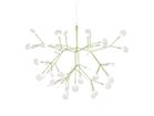 【モーイ/moooi / GOODS】のHeracleum III Small / ヘラクレウム 3 スモール グリーン|ID: prp329100004911064 ipo3291000000036799850