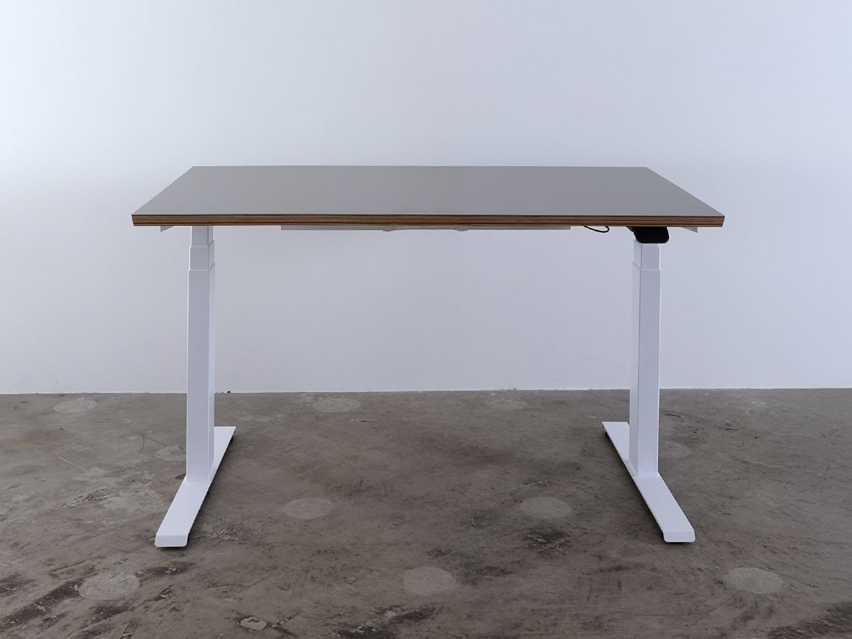 【ボーダレス/BORDERLESS / GOODS】のFeEL / フィール 電動昇降デスク(リノリウム天板) インテリア・キッズ・メンズ・レディースファッション・服の通販 founy(ファニー) ウッド Wooden Design テーブル Table, Dining Table デスク Desk, Work Desk バランス Balance, Style Balance ローズ Rose, Rose Motif 送料無料 Free Shipping ビジネス 仕事 通勤 Business / Work / Commuting ホーム・キャンプ・アウトドア・お取り寄せ Home Living / Home & Lifestyle / Camping Gear / Outdoor Camping 家具・インテリア Home Furniture & Interior. Stylish & Functional Living Spaces その他 インテリア雑貨、家具 Home Decor & Furniture Extras サイズ:幅120cm|ID: prp329100004911353 ipo3291000000036803550