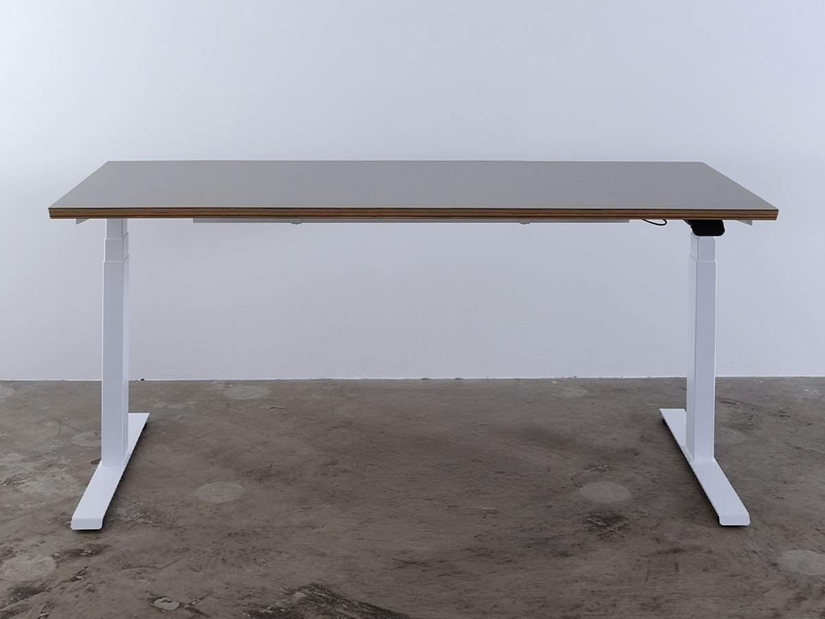 【ボーダレス/BORDERLESS / GOODS】のFeEL / フィール 電動昇降デスク(リノリウム天板) インテリア・キッズ・メンズ・レディースファッション・服の通販 founy(ファニー) ウッド Wooden Design テーブル Table, Dining Table デスク Desk, Work Desk バランス Balance, Style Balance ローズ Rose, Rose Motif 送料無料 Free Shipping ビジネス 仕事 通勤 Business / Work / Commuting ホーム・キャンプ・アウトドア・お取り寄せ Home Living / Home & Lifestyle / Camping Gear / Outdoor Camping 家具・インテリア Home Furniture & Interior. Stylish & Functional Living Spaces その他 インテリア雑貨、家具 Home Decor & Furniture Extras サイズ:幅160cm|ID: prp329100004911353 ipo3291000000036803554