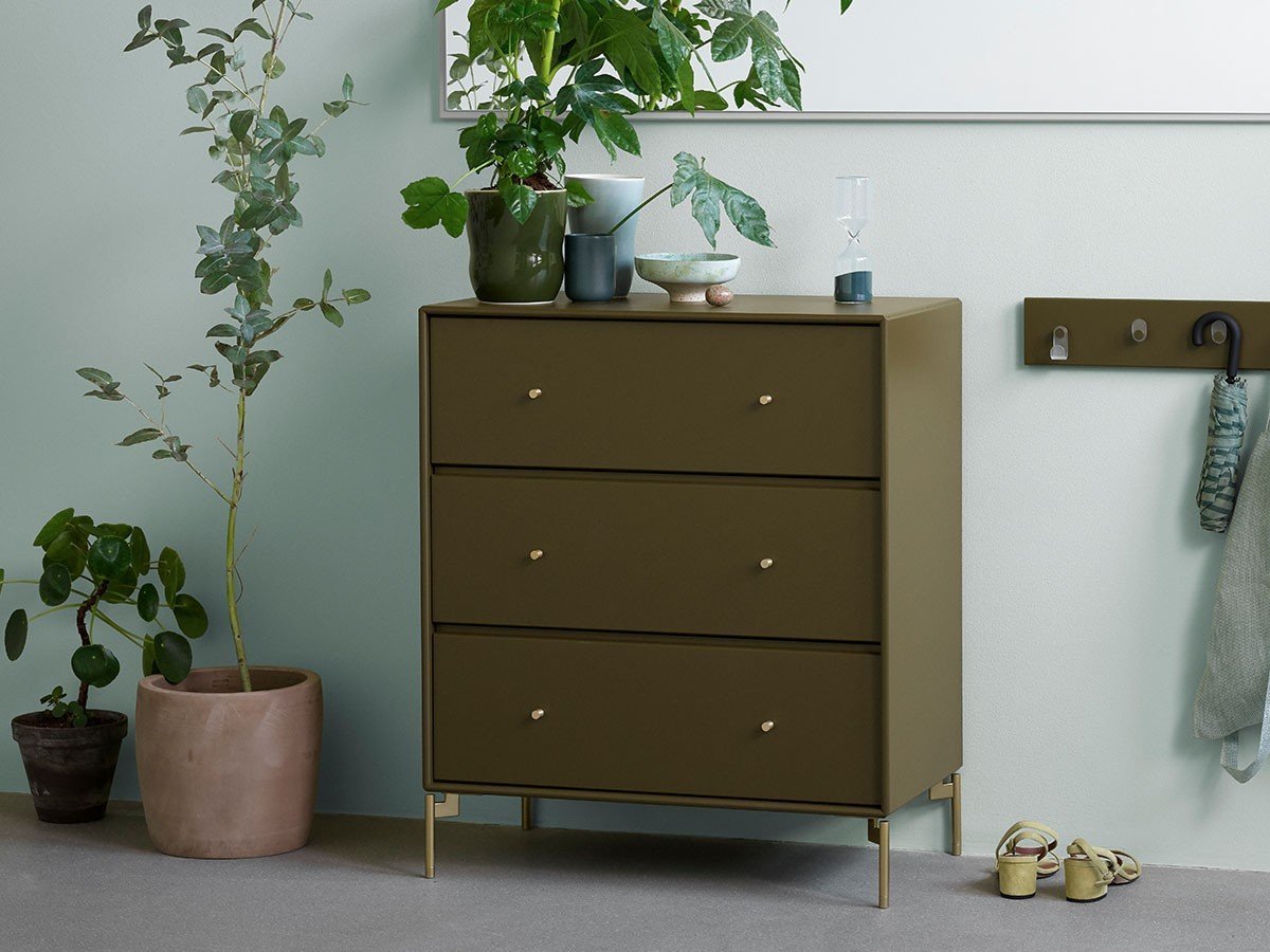 【モンタナ/Montana / GOODS】のMontana Selection Carry Dresser / モンタナ セレクション キャリー ドレッサー インテリア・キッズ・メンズ・レディースファッション・服の通販 founy(ファニー) 　送料無料　Free Shipping　シンプル　Simple, Minimal　スリム　Slim, Slim Fit　モダン　Modern, Contemporary　ホーム・キャンプ・アウトドア・お取り寄せ　Home Living / Home & Lifestyle / Camping Gear / Outdoor Camping　家具・インテリア　Home Furniture & Interior. Stylish & Functional Living Spaces　収納家具・キャビネット　Storage Furniture　チェスト・収納引き出し　Drawers / Storage Chest　ホーム・キャンプ・アウトドア・お取り寄せ　Home Living / Home & Lifestyle / Camping Gear / Outdoor Camping　家具・インテリア　Home Furniture & Interior. Stylish & Functional Living Spaces　ミラー・ドレッサー　Mirrors & Dressers　ドレッサー・ミラー付き化粧台　Vanity Table for Bedroom　オレガノ / ブラス / ブラス|ID: prp329100004912665 ipo3291000000036816148