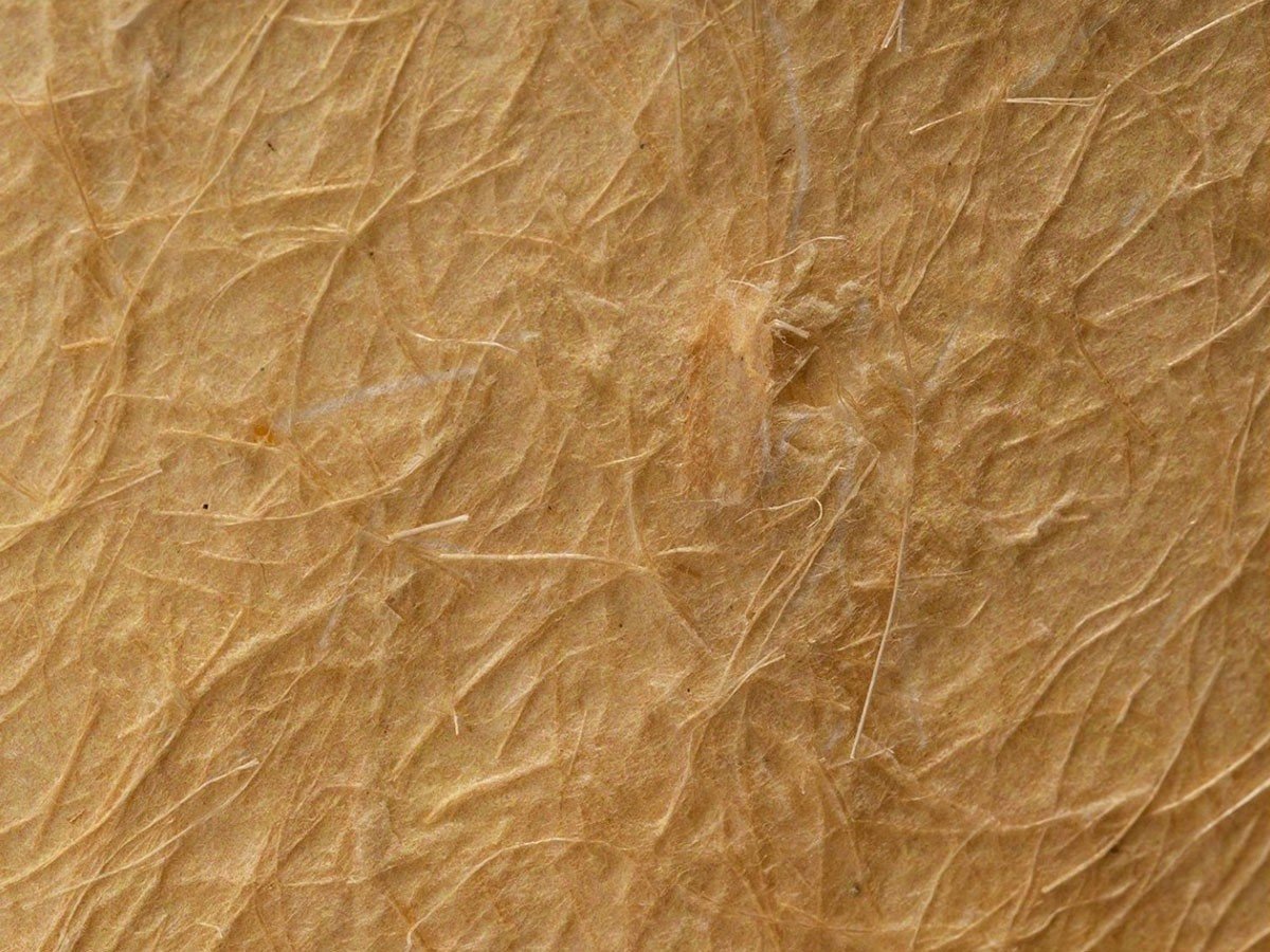 【ジャーナルスタンダード ファニチャー/journal standard Furniture / GOODS】のDAFNE CEILING LAMP / ダフネ シーリングランプ インテリア・キッズ・メンズ・レディースファッション・服の通販 founy(ファニー) 送料無料 Free Shipping シンプル Simple, Minimal ペーパー Paper, Kraft Paper ボタニカル Botanical, Floral Pattern ラタン Rattan, Woven Rattan リゾート Resort, Vacation Style ホーム・キャンプ・アウトドア・お取り寄せ Home Living / Home & Lifestyle / Camping Gear / Outdoor Camping 家具・インテリア Home Furniture & Interior. Stylish & Functional Living Spaces ライト・照明 Lamps & Lighting Fixtures シーリングライト・天井照明 Ceiling Light / Flush Mount Light ファイバーペーパー素材の特性上、繊維が均一でない場合や、色の濃い繊維が混ざる場合がございます。また、|ID: prp329100004915736 ipo3291000000036845979