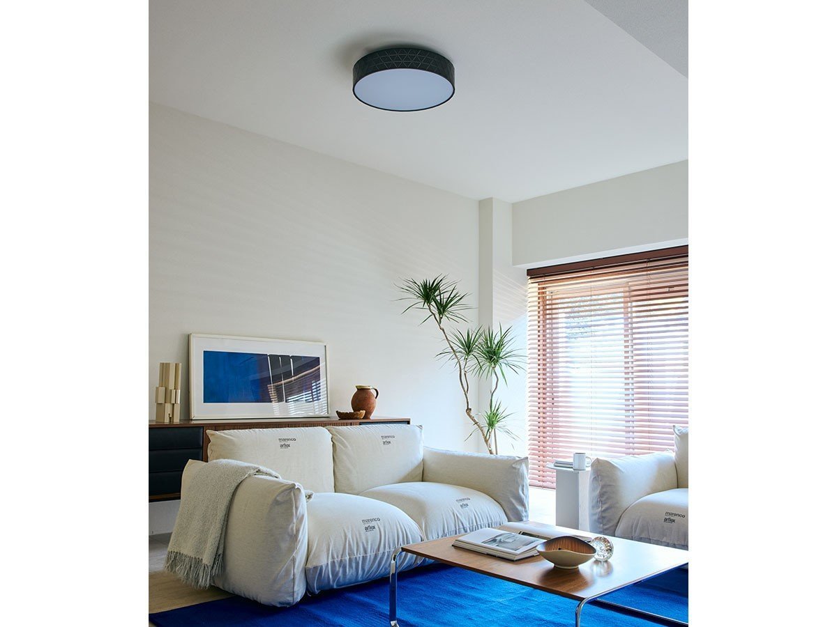 【アプロス/APROZ / GOODS】のIMELDA / イメルダ インテリア・キッズ・メンズ・レディースファッション・服の通販 founy(ファニー) 　送料無料　Free Shipping　スリット　Slit, Slit Detail　ホーム・キャンプ・アウトドア・お取り寄せ　Home Living / Home & Lifestyle / Camping Gear / Outdoor Camping　家具・インテリア　Home Furniture & Interior. Stylish & Functional Living Spaces　ライト・照明　Lamps & Lighting Fixtures　シーリングライト・天井照明　Ceiling Light / Flush Mount Light　ブラック|ID: prp329100004917194 ipo3291000000036870203