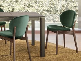 【カリガリス/Calligaris / GOODS】のINES / イネス 木脚 CS/2079 人気、トレンドファッション・服の通販 founy(ファニー) 送料無料 Free Shipping フレーム Frame, Outline ベルベット Velvet, Velvety モダン Modern, Contemporary ホーム・キャンプ・アウトドア・お取り寄せ Home Living / Home & Lifestyle / Camping Gear / Outdoor Camping 家具・インテリア Home Furniture & Interior. Stylish & Functional Living Spaces チェア・椅子 Seating & Chairs ダイニングチェア・木製チェア Dining Chairs |ID:prp329100004920924