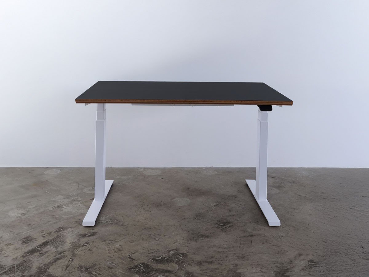 【ボーダレス/BORDERLESS / GOODS】のFeEL / フィール 電動昇降デスク(バッカー天板) インテリア・キッズ・メンズ・レディースファッション・服の通販 founy(ファニー) 　ウッド　Wooden Design　テーブル　Table, Dining Table　デスク　Desk, Work Desk　バランス　Balance, Style Balance　ローズ　Rose, Rose Motif　送料無料　Free Shipping　ビジネス 仕事 通勤　Business / Work / Commuting　ホーム・キャンプ・アウトドア・お取り寄せ　Home Living / Home & Lifestyle / Camping Gear / Outdoor Camping　家具・インテリア　Home Furniture & Interior. Stylish & Functional Living Spaces　その他 インテリア雑貨、家具　Home Decor & Furniture Extras　サイズ:幅120cm|ID: prp329100004921203 ipo3291000000036919908