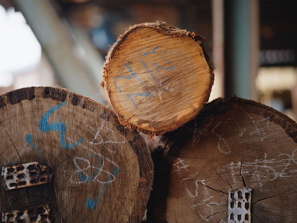 【アンビエンテック/Ambientec / GOODS】のVosco / ヴォスコ(メープル M) インテリア・キッズ・メンズ・レディースファッション・服の通販 founy(ファニー) 　ガラス　Glass, Glassware　テーブル　Table, Dining Table　送料無料　Free Shipping　ホーム・キャンプ・アウトドア・お取り寄せ　Home Living / Home & Lifestyle / Camping Gear / Outdoor Camping　家具・インテリア　Home Furniture & Interior. Stylish & Functional Living Spaces　ライト・照明　Lamps & Lighting Fixtures　曲がりや節を理由に燃料材や廃材とされてきた木材を活用しています。|ID: prp329100004922105 ipo3291000000036931976