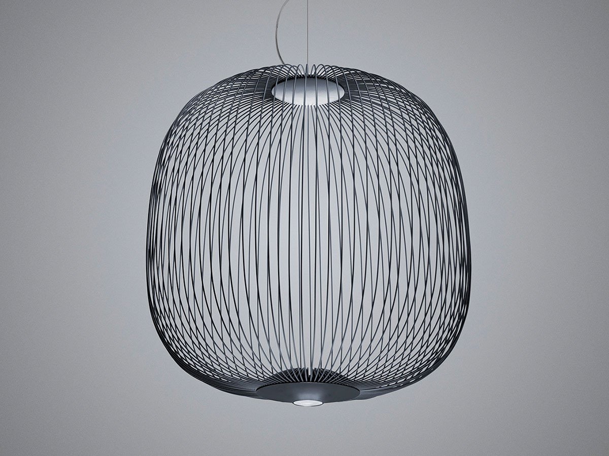 【フォスカリーニ/FOSCARINI / GOODS】のSpokes 2 Pendant / スポークス 2 ペンダント インテリア・キッズ・メンズ・レディースファッション・服の通販 founy(ファニー) 　送料無料　Free Shipping　シンプル　Simple, Minimal　フォルム　Silhouette, Form　メタル　Metal, Metal Parts　ホーム・キャンプ・アウトドア・お取り寄せ　Home Living / Home & Lifestyle / Camping Gear / Outdoor Camping　家具・インテリア　Home Furniture & Interior. Stylish & Functional Living Spaces　ライト・照明　Lamps & Lighting Fixtures　ペンダントライト・吊り下げ照明　Pendant Light / Hanging Light Fixture　グラファイト|ID: prp329100004922198 ipo3291000000036932841