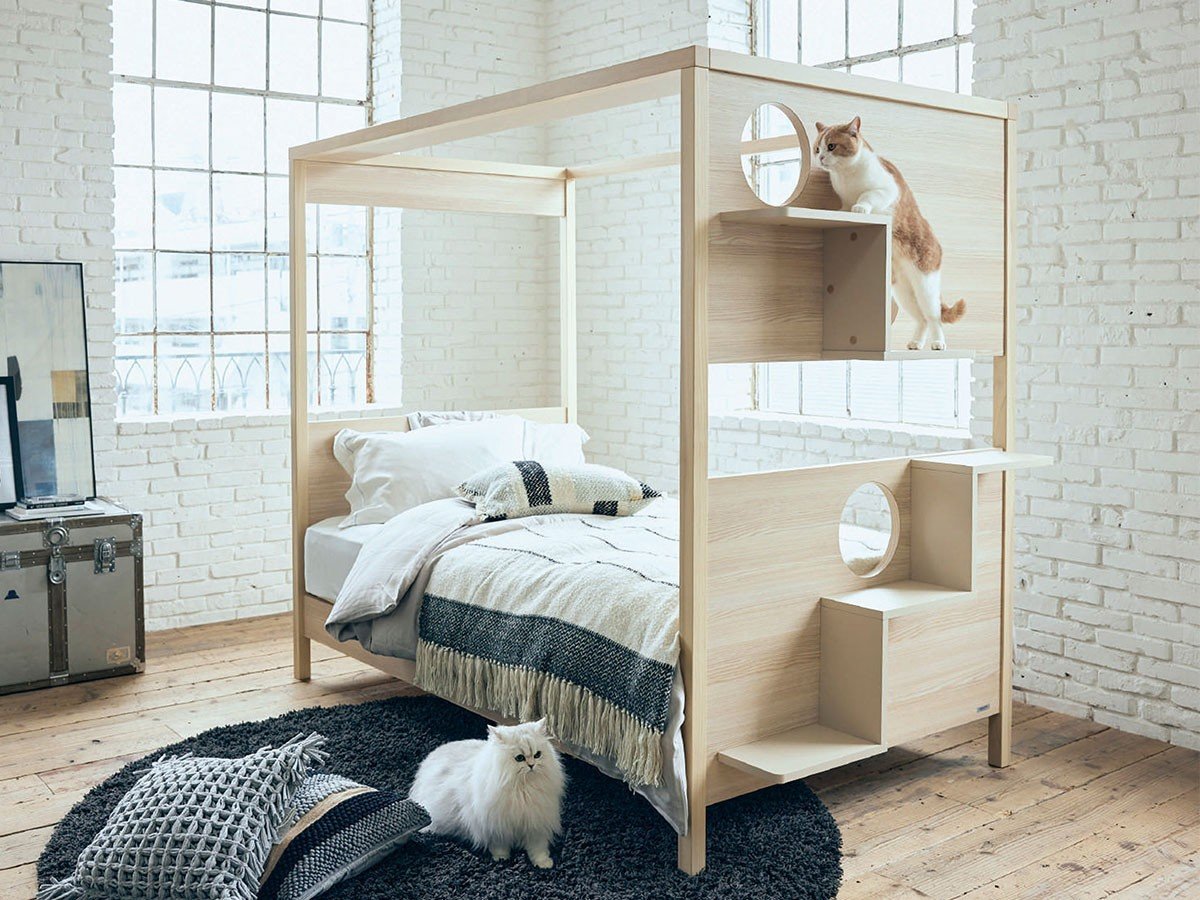 【フランスペット/FRANCE PET / GOODS】のCat Tower Bed / キャットタワー ベッド 人気、トレンドファッション・服の通販 founy(ファニー) 　フレーム　Frame, Outline　猫　Cat, Kitty　ホーム・キャンプ・アウトドア・お取り寄せ　Home Living / Home & Lifestyle / Camping Gear / Outdoor Camping　家具・インテリア　Home Furniture & Interior. Stylish & Functional Living Spaces　ベッド　Modern Beds for Every Room　シングルベッド・1人用ベッド　Single Bed　ホーム・キャンプ・アウトドア・お取り寄せ　Home Living / Home & Lifestyle / Camping Gear / Outdoor Camping　家具・インテリア　Home Furniture & Interior. Stylish & Functional Living Spaces　ベッド　Modern Beds for Every Room　セミダブルベッド　Small Double Bed / Three-Quarter Bed　ホーム・キャンプ・アウトドア・お取り寄せ　Home Living / Home & Lifestyle / Camping Gear / Outdoor Camping　家具・インテリア　Home Furniture & Interior. Stylish & Functional Living Spaces　ベッド　Modern Beds for Every Room　ダブルベッド・2人用ベッド　Double Bed / Full Size Bed　 other-1|ID: prp329100004927250 ipo3291000000036971552