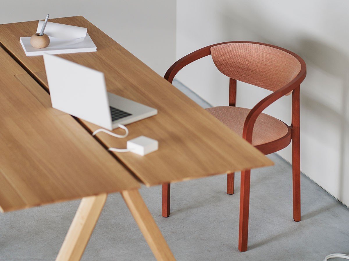 【カリモクニュースタンダード/KARIMOKU NEW STANDARD / GOODS】のCHESA CHAIR PAD / チェーサ チェアパッド インテリア・キッズ・メンズ・レディースファッション・服の通販 founy(ファニー) 　クッション　Cushion, Throw Pillow　クラシック　Classic, Timeless Style　コンパクト　Compact, Small Size　バランス　Balance, Style Balance　フレーム　Frame, Outline　送料無料　Free Shipping　ホーム・キャンプ・アウトドア・お取り寄せ　Home Living / Home & Lifestyle / Camping Gear / Outdoor Camping　家具・インテリア　Home Furniture & Interior. Stylish & Functional Living Spaces　チェア・椅子　Seating & Chairs　ダイニングチェア・木製チェア　Dining Chairs　Photographer:Masaaki Inoue, Bouillon|ID: prp329100004927577 ipo3291000000036974923