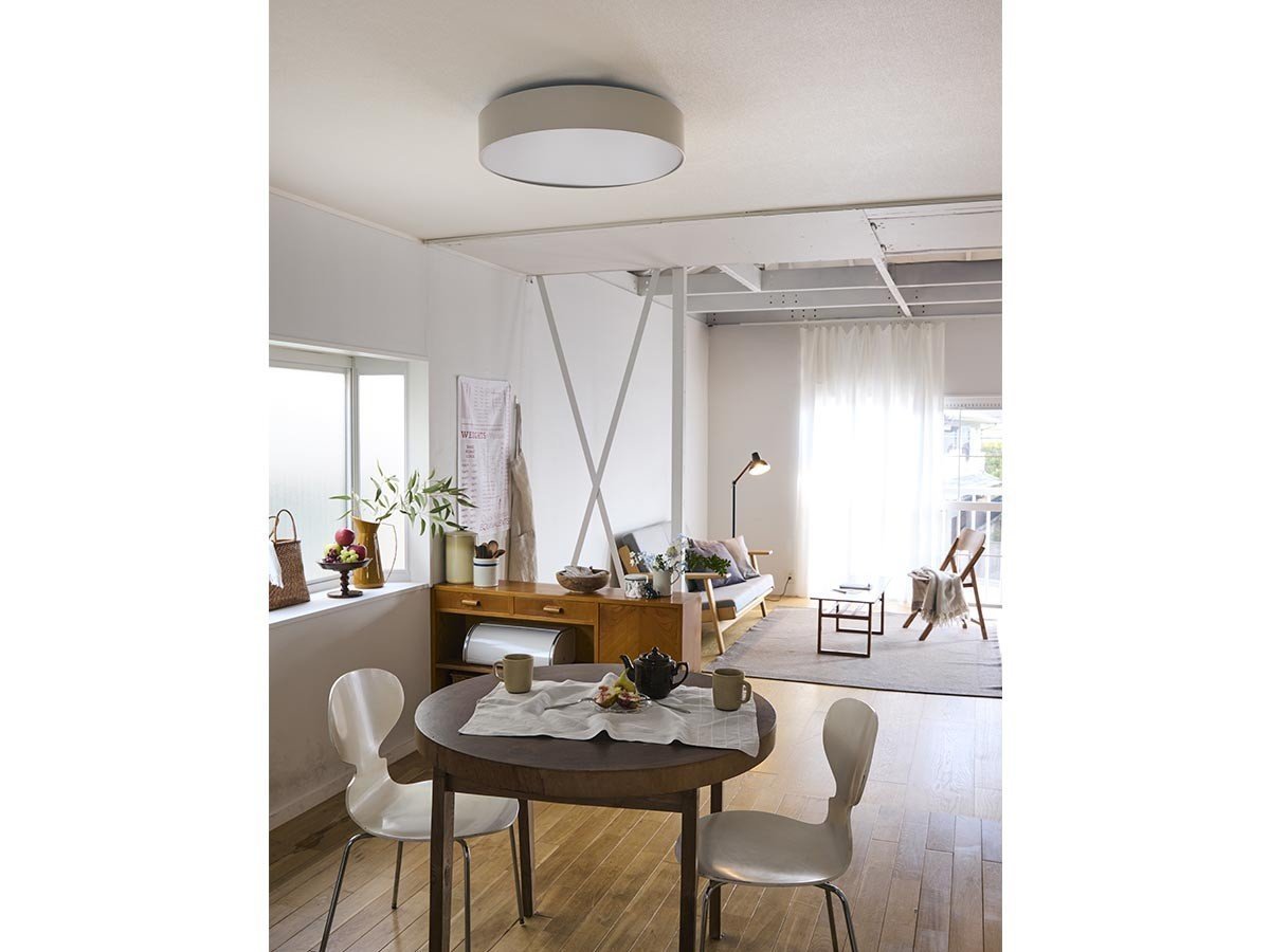 【アプロス/APROZ / GOODS】のWYOMING / ワイオミング インテリア・キッズ・メンズ・レディースファッション・服の通販 founy(ファニー) 　送料無料　Free Shipping　ホーム・キャンプ・アウトドア・お取り寄せ　Home Living / Home & Lifestyle / Camping Gear / Outdoor Camping　家具・インテリア　Home Furniture & Interior. Stylish & Functional Living Spaces　ライト・照明　Lamps & Lighting Fixtures　シーリングライト・天井照明　Ceiling Light / Flush Mount Light　ベージュ|ID: prp329100004928457 ipo3291000000036983160