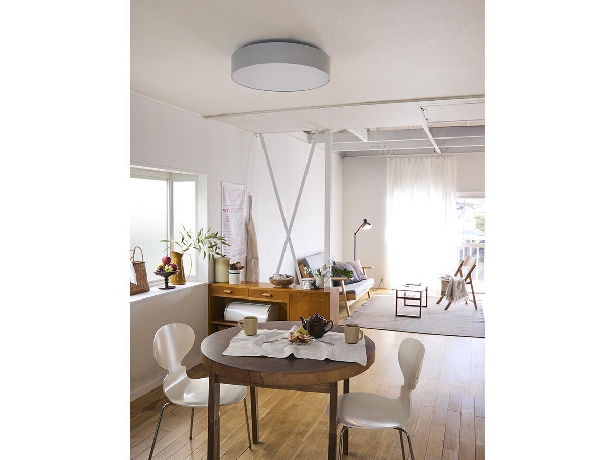 【アプロス/APROZ / GOODS】のWYOMING / ワイオミング インテリア・キッズ・メンズ・レディースファッション・服の通販 founy(ファニー) 　送料無料　Free Shipping　ホーム・キャンプ・アウトドア・お取り寄せ　Home Living / Home & Lifestyle / Camping Gear / Outdoor Camping　家具・インテリア　Home Furniture & Interior. Stylish & Functional Living Spaces　ライト・照明　Lamps & Lighting Fixtures　シーリングライト・天井照明　Ceiling Light / Flush Mount Light　グレー|ID: prp329100004928457 ipo3291000000036983162