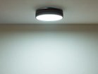 【フライミー ヴェール/FLYMEe vert / GOODS】のCEILING LIGHT / シーリングライト #113682 人気、トレンドファッション・服の通販 founy(ファニー) 送料無料 Free Shipping オレンジ Orange シンプル Simple, Minimal スリム Slim, Slim Fit ラウンド Round, Round Neck リラックス Relax, Relaxed Fit ホーム・キャンプ・アウトドア・お取り寄せ Home Living / Home & Lifestyle / Camping Gear / Outdoor Camping 家具・インテリア Home Furniture & Interior. Stylish & Functional Living Spaces ライト・照明 Lamps & Lighting Fixtures シーリングライト・天井照明 Ceiling Light / Flush Mount Light thumbnail 昼光色(ホワイト色)|ID: prp329100004928463 ipo3291000000036983201