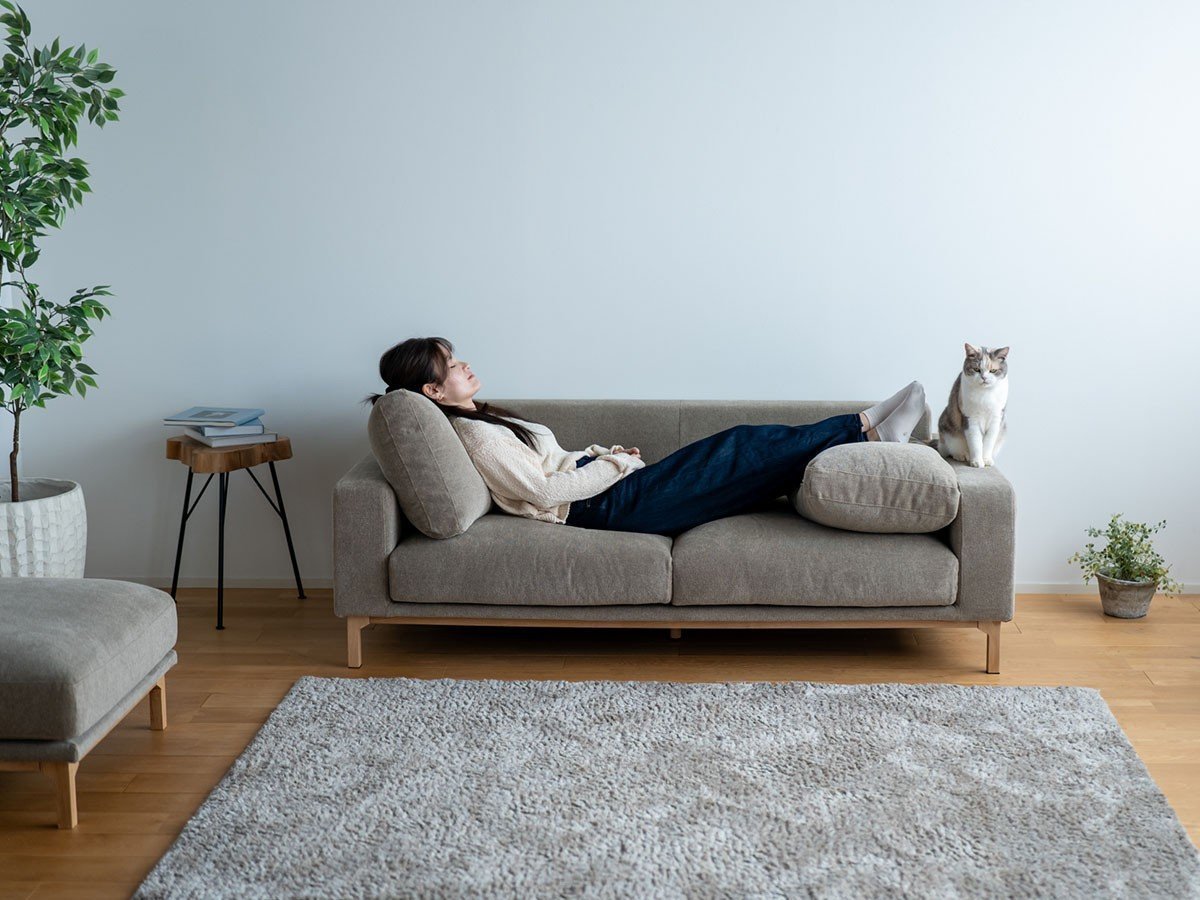 【フミ/Fumi / GOODS】の飽きないソファ +pet / 飽きないソファ(ペット対応生地) インテリア・キッズ・メンズ・レディースファッション・服の通販 founy(ファニー) 　クッション　Cushion, Throw Pillow　シンプル　Simple, Minimal　テーブル　Table, Dining Table　バランス　Balance, Style Balance　フェザー　Feather, Feather Detail　ベーシック　Basic, Essential　ポケット　Pocket, Pocket Detail　モダン　Modern, Contemporary　ホーム・キャンプ・アウトドア・お取り寄せ　Home Living / Home & Lifestyle / Camping Gear / Outdoor Camping　家具・インテリア　Home Furniture & Interior. Stylish & Functional Living Spaces　その他 インテリア雑貨、家具　Home Decor & Furniture Extras　参考イメージ|ID: prp329100004929916 ipo3291000000036998787