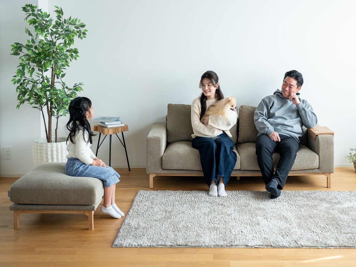 【フミ/Fumi / GOODS】の飽きないソファ +pet / 飽きないソファ(ペット対応生地) インテリア・キッズ・メンズ・レディースファッション・服の通販 founy(ファニー) 　クッション　Cushion, Throw Pillow　シンプル　Simple, Minimal　テーブル　Table, Dining Table　バランス　Balance, Style Balance　フェザー　Feather, Feather Detail　ベーシック　Basic, Essential　ポケット　Pocket, Pocket Detail　モダン　Modern, Contemporary　ホーム・キャンプ・アウトドア・お取り寄せ　Home Living / Home & Lifestyle / Camping Gear / Outdoor Camping　家具・インテリア　Home Furniture & Interior. Stylish & Functional Living Spaces　その他 インテリア雑貨、家具　Home Decor & Furniture Extras　参考イメージ|ID: prp329100004929916 ipo3291000000036998794