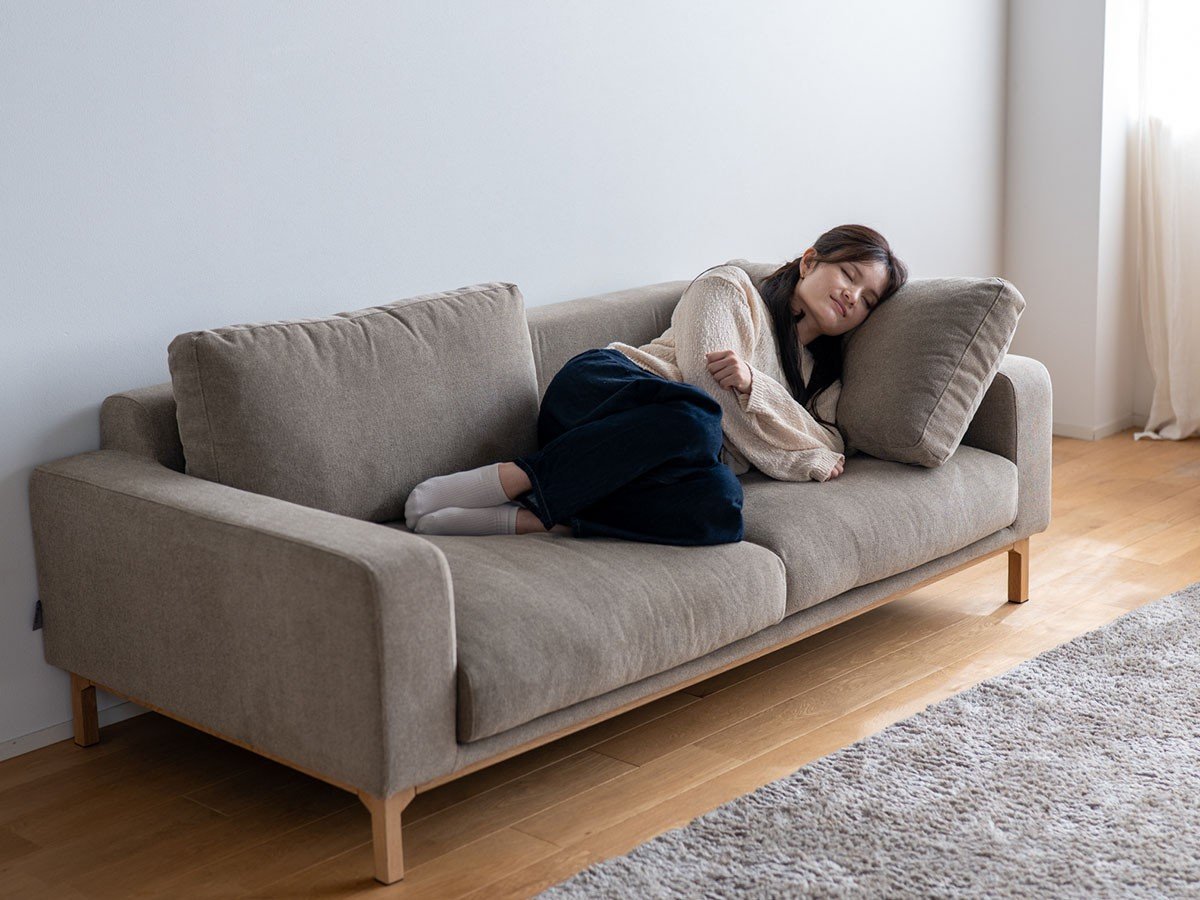 【フミ/Fumi / GOODS】の飽きないソファ +pet / 飽きないソファ(ペット対応生地) インテリア・キッズ・メンズ・レディースファッション・服の通販 founy(ファニー) 　クッション　Cushion, Throw Pillow　シンプル　Simple, Minimal　テーブル　Table, Dining Table　バランス　Balance, Style Balance　フェザー　Feather, Feather Detail　ベーシック　Basic, Essential　ポケット　Pocket, Pocket Detail　モダン　Modern, Contemporary　ホーム・キャンプ・アウトドア・お取り寄せ　Home Living / Home & Lifestyle / Camping Gear / Outdoor Camping　家具・インテリア　Home Furniture & Interior. Stylish & Functional Living Spaces　その他 インテリア雑貨、家具　Home Decor & Furniture Extras　参考イメージ|ID: prp329100004929916 ipo3291000000036998804