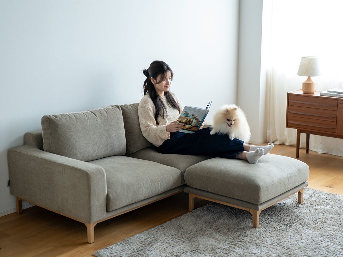 【フミ/Fumi / GOODS】の飽きないソファ +pet / 飽きないソファ(ペット対応生地) インテリア・キッズ・メンズ・レディースファッション・服の通販 founy(ファニー) 　クッション　Cushion, Throw Pillow　シンプル　Simple, Minimal　テーブル　Table, Dining Table　バランス　Balance, Style Balance　フェザー　Feather, Feather Detail　ベーシック　Basic, Essential　ポケット　Pocket, Pocket Detail　モダン　Modern, Contemporary　ホーム・キャンプ・アウトドア・お取り寄せ　Home Living / Home & Lifestyle / Camping Gear / Outdoor Camping　家具・インテリア　Home Furniture & Interior. Stylish & Functional Living Spaces　その他 インテリア雑貨、家具　Home Decor & Furniture Extras　参考イメージ|ID: prp329100004929916 ipo3291000000036998816